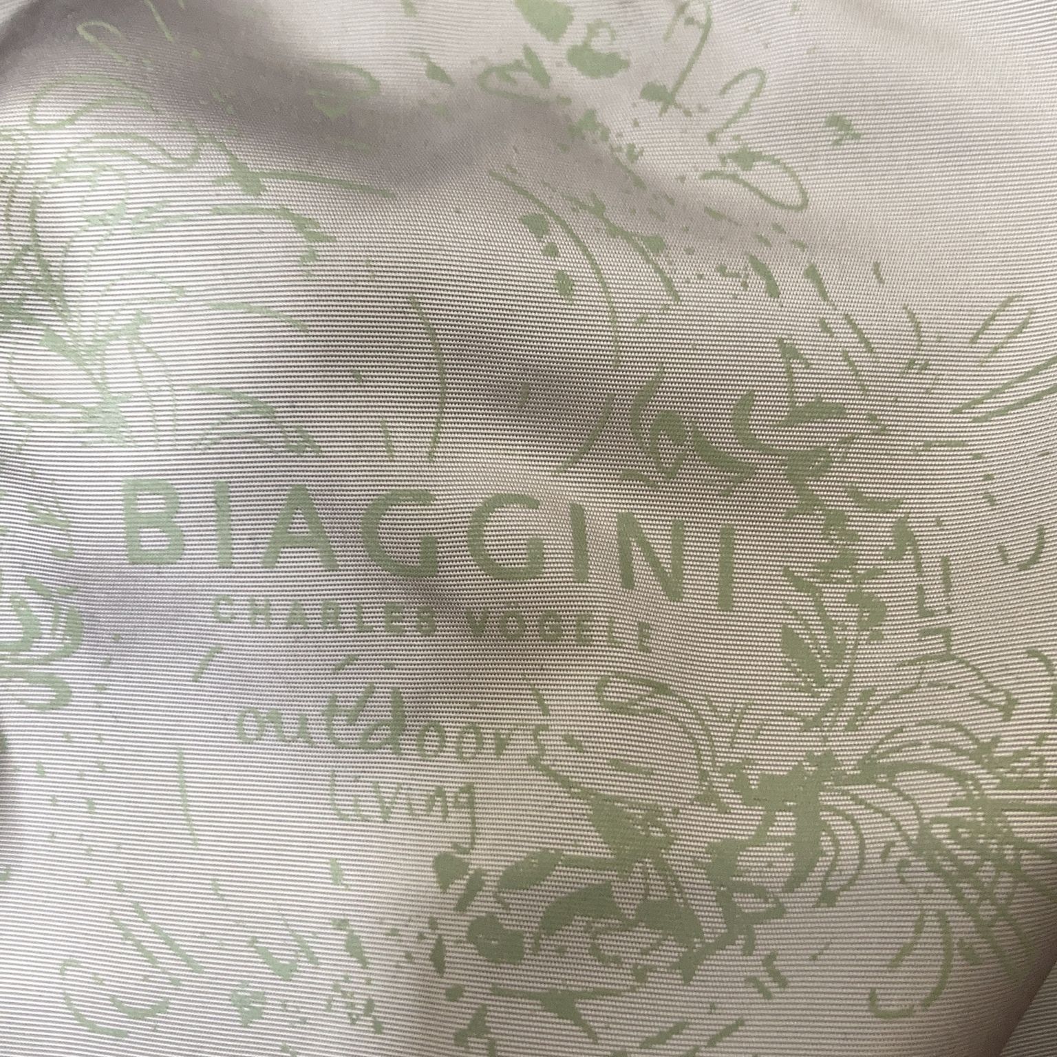 Biaggini