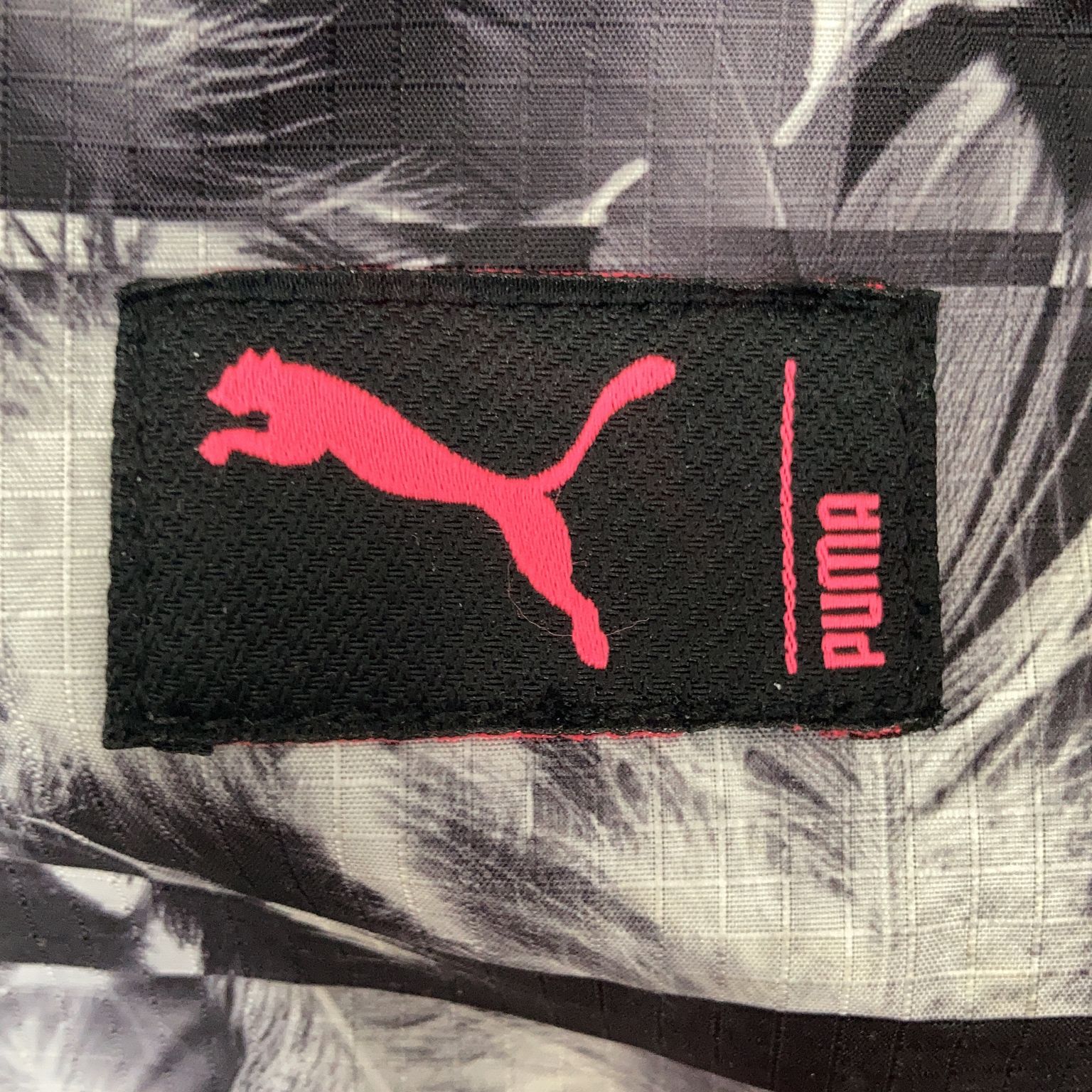 Puma