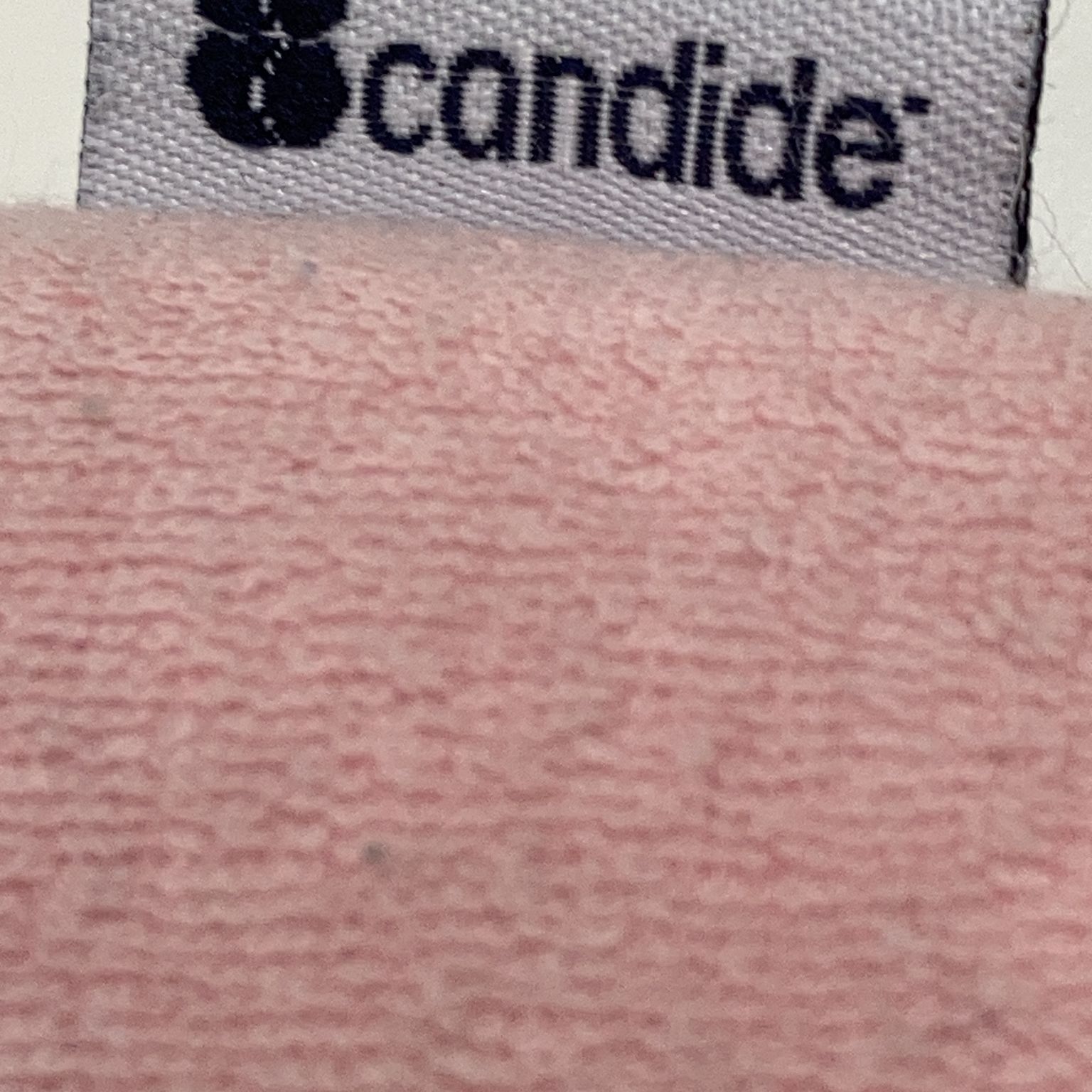 Candide