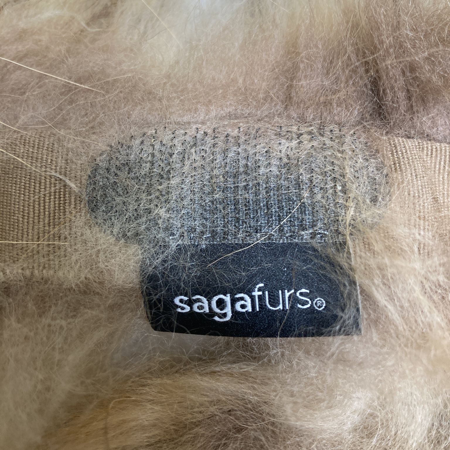 Sagafurs