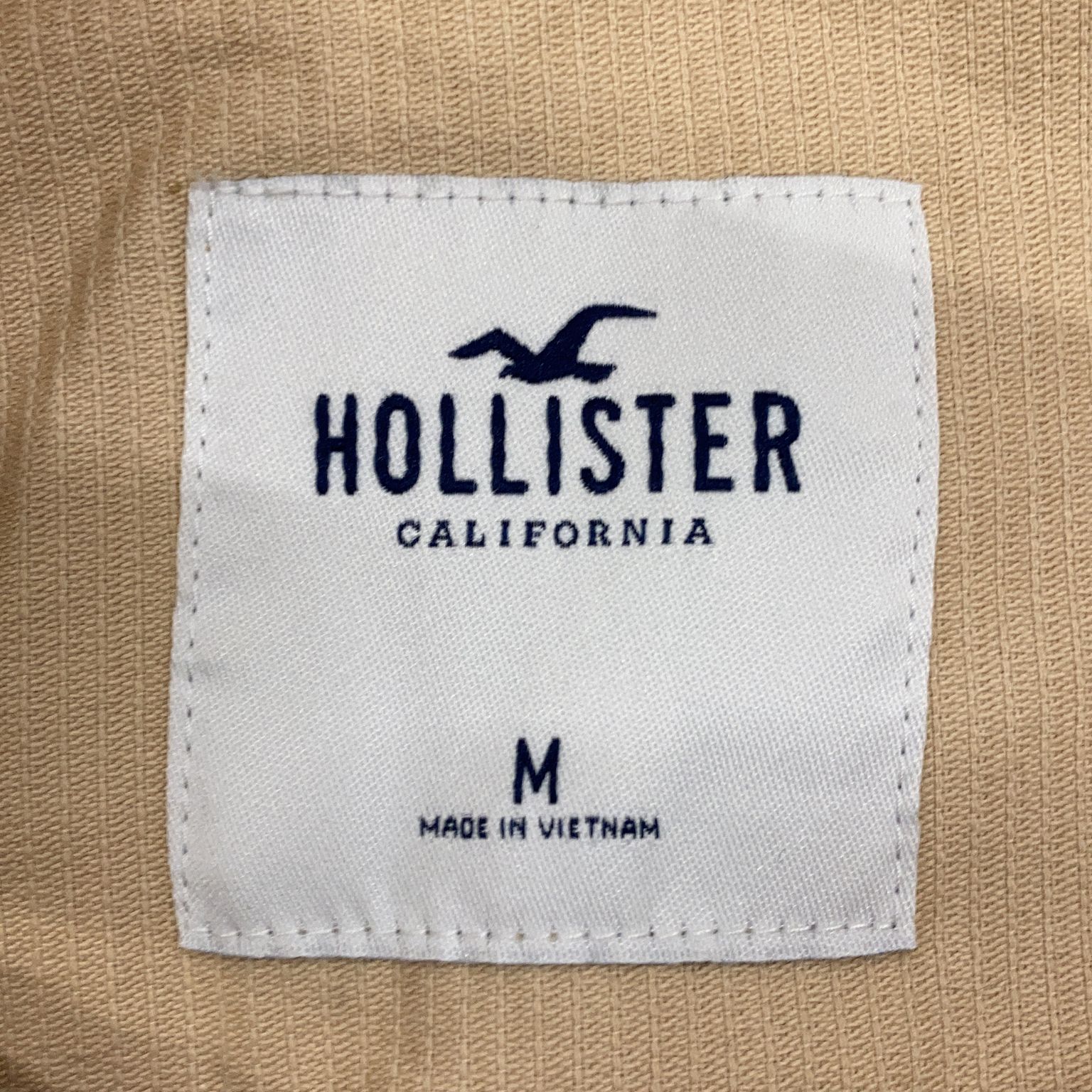 Hollister