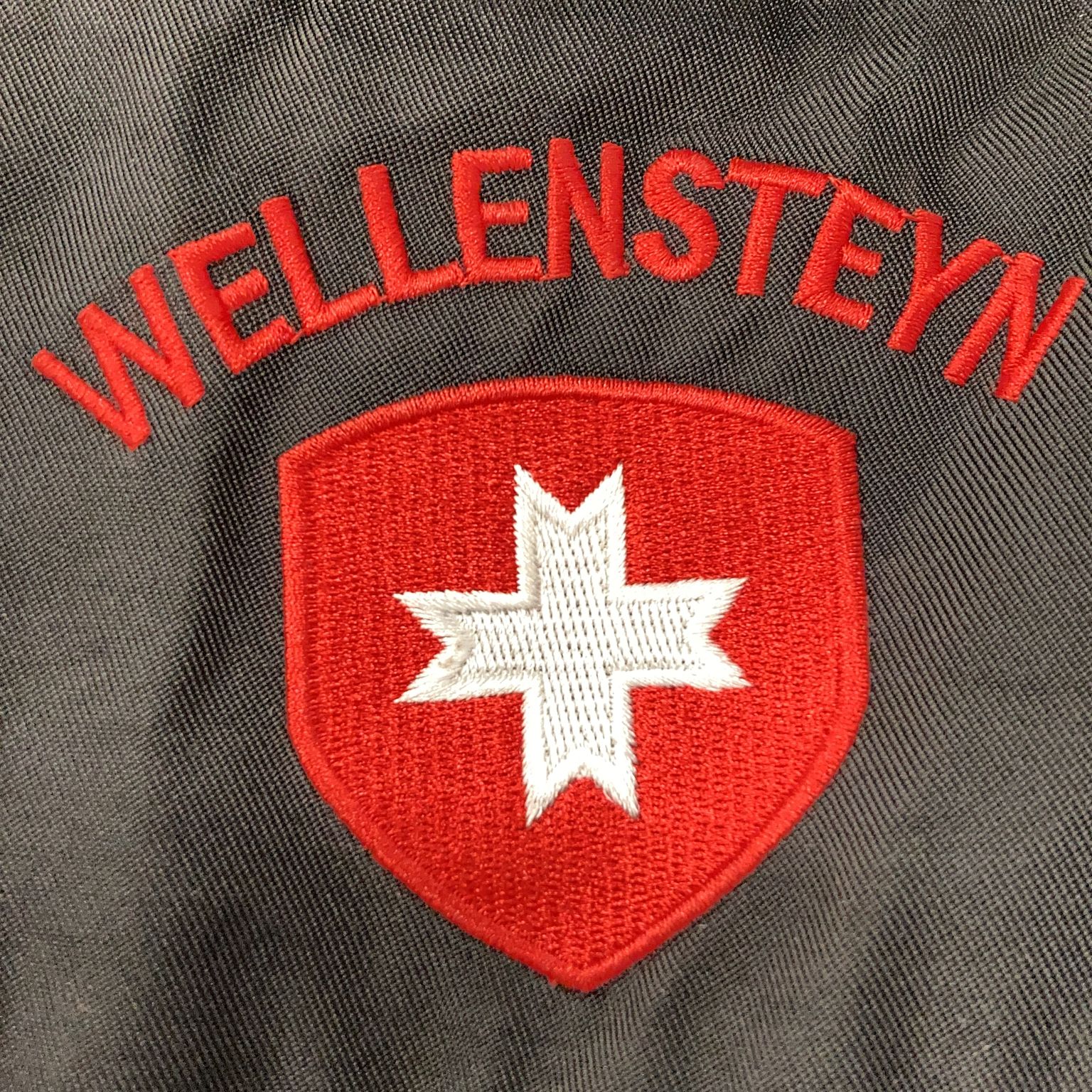 Wellensteyn