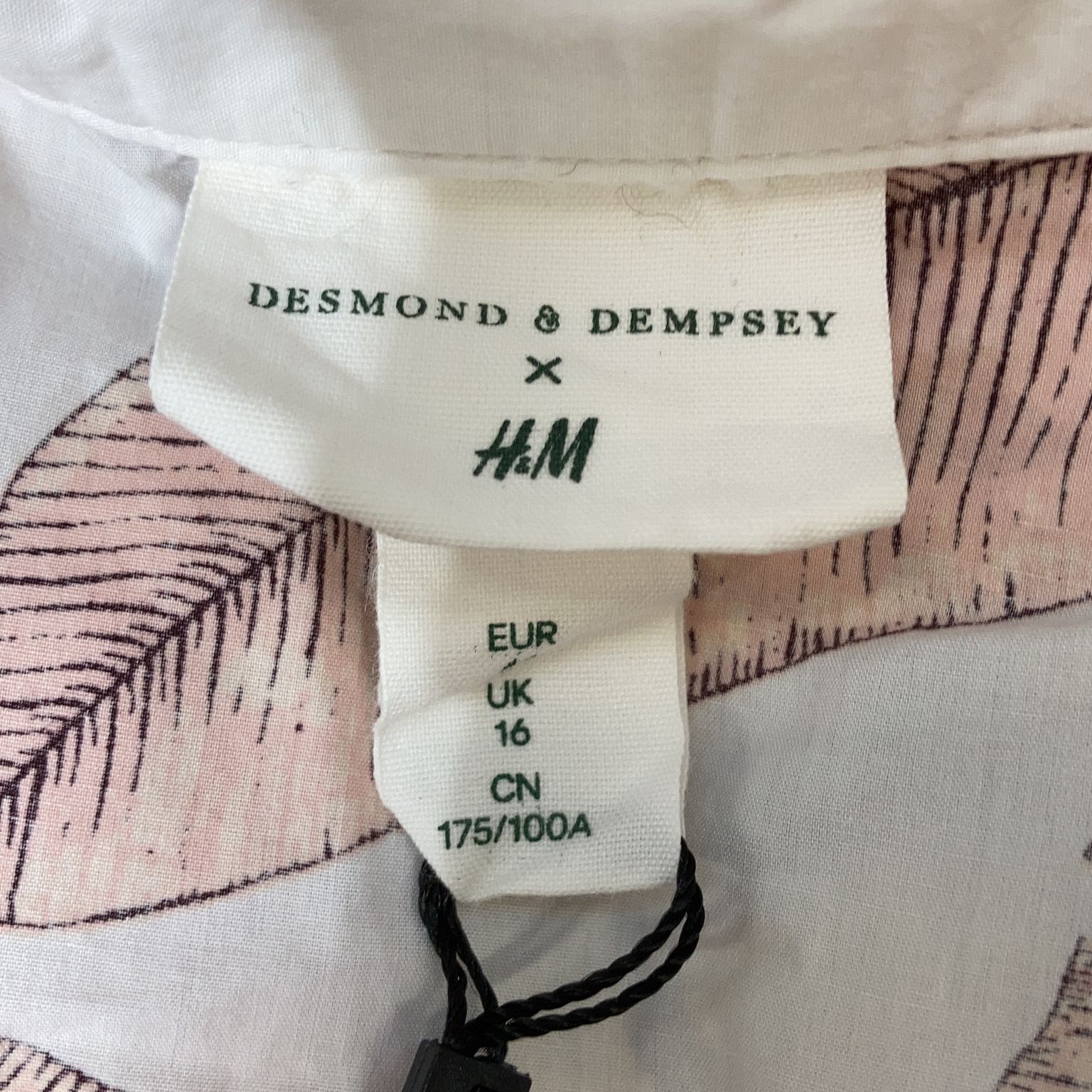 Desmond  Dempsey x HM