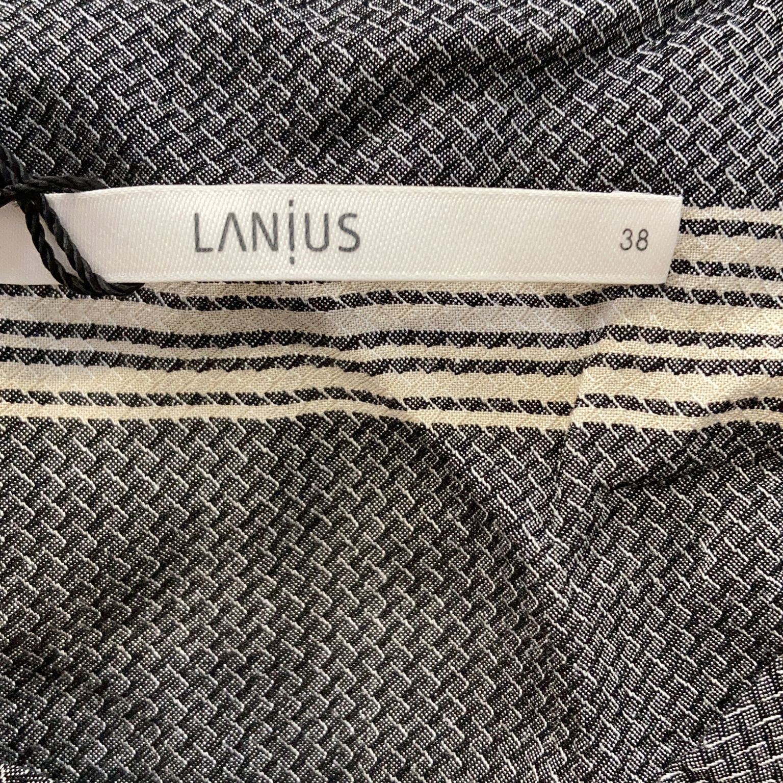 Lanius