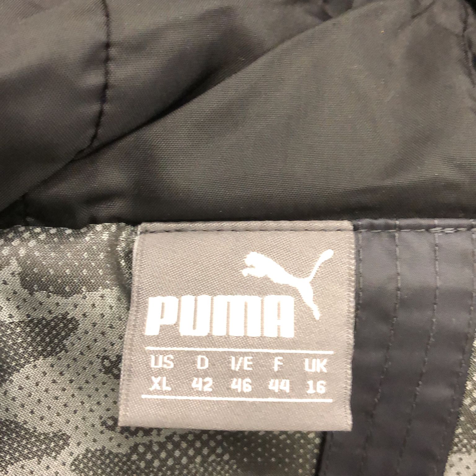 Puma