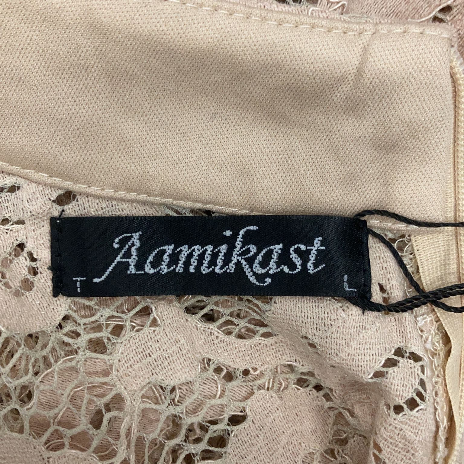 Aamikast