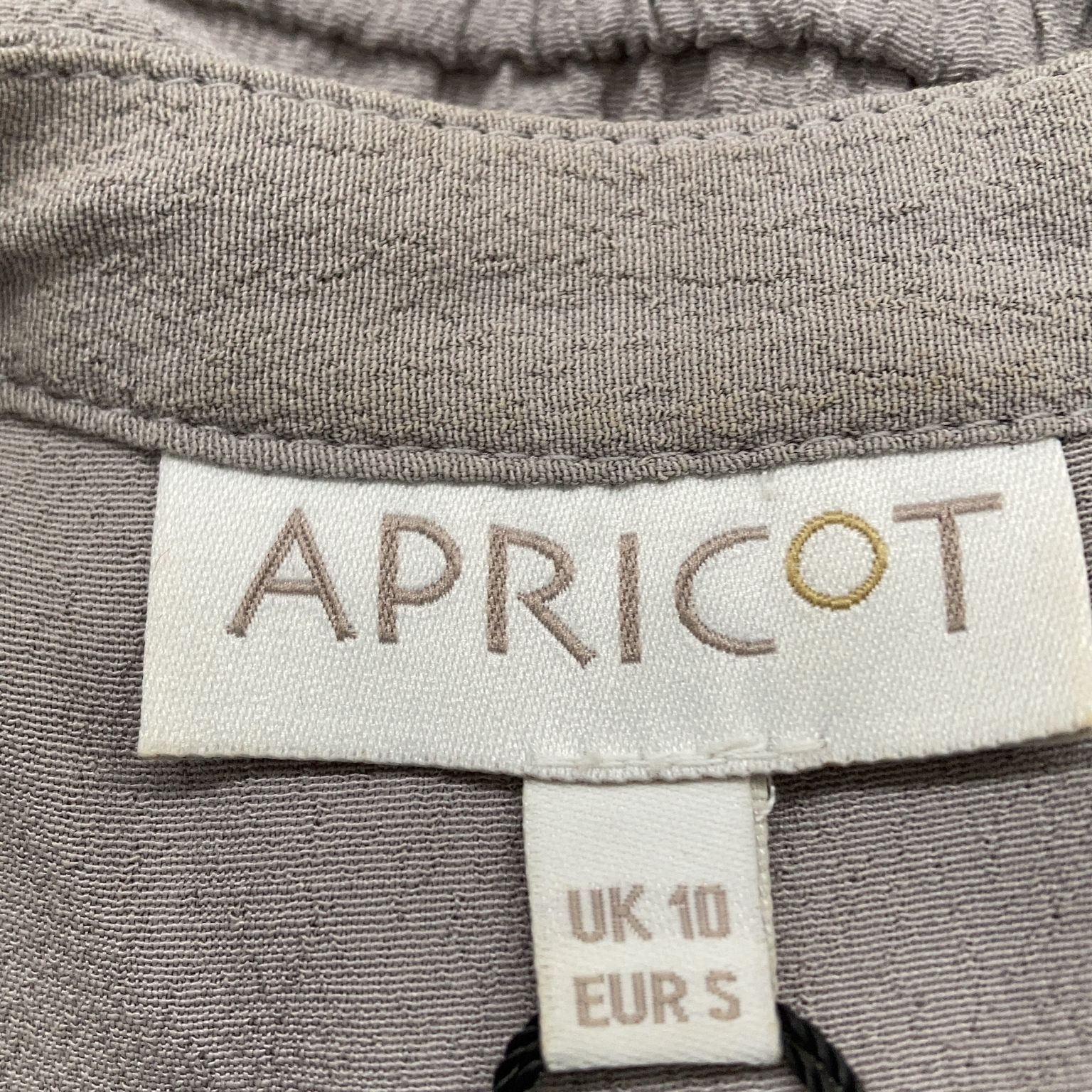 Apricot