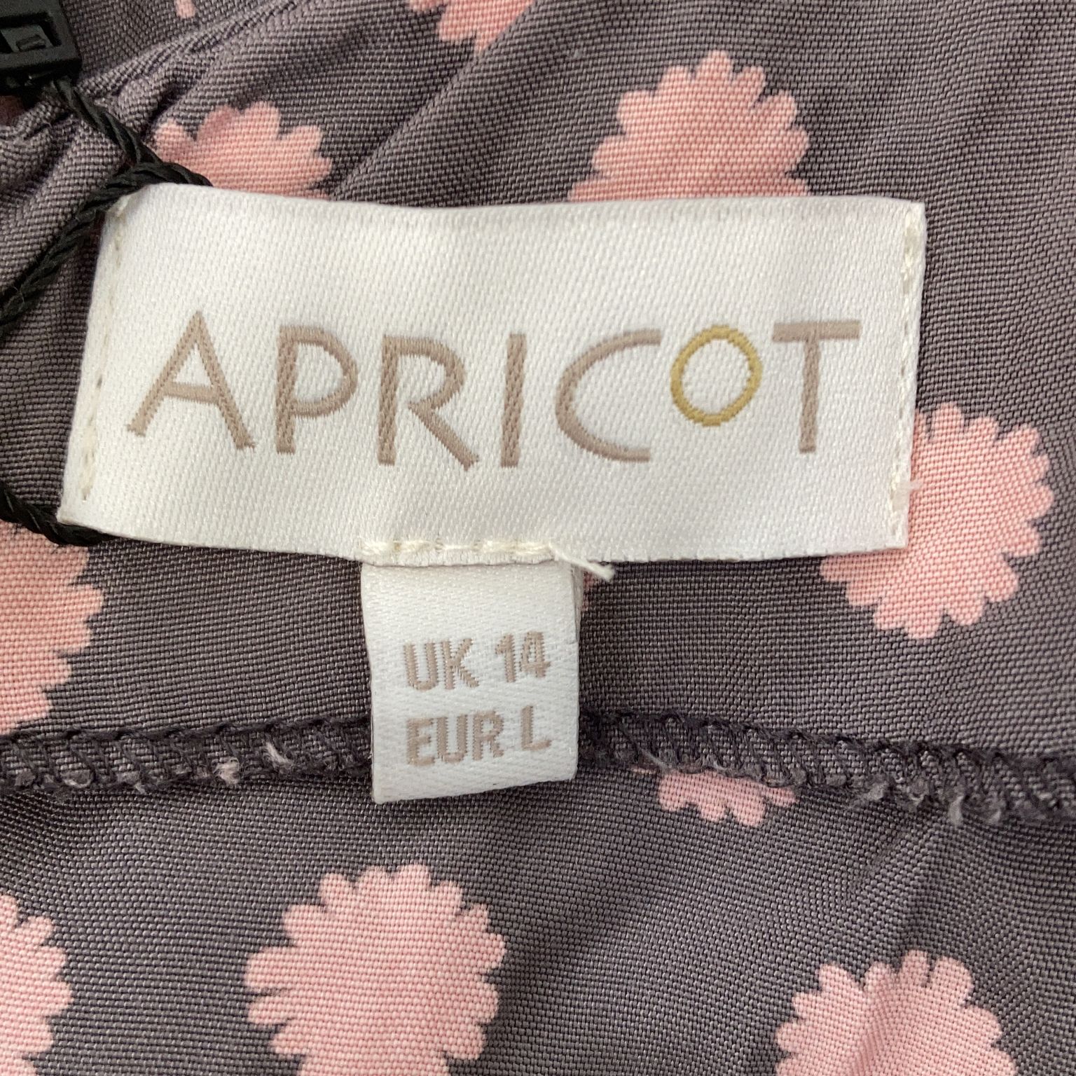 Apricot