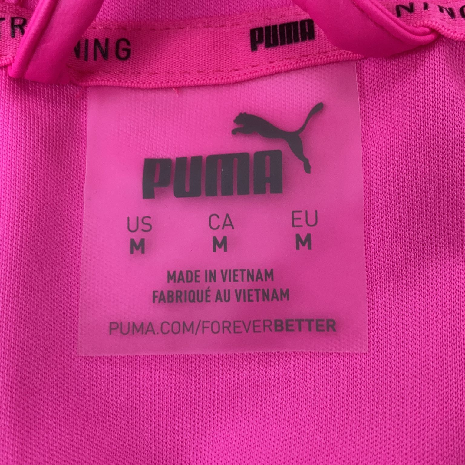 Puma