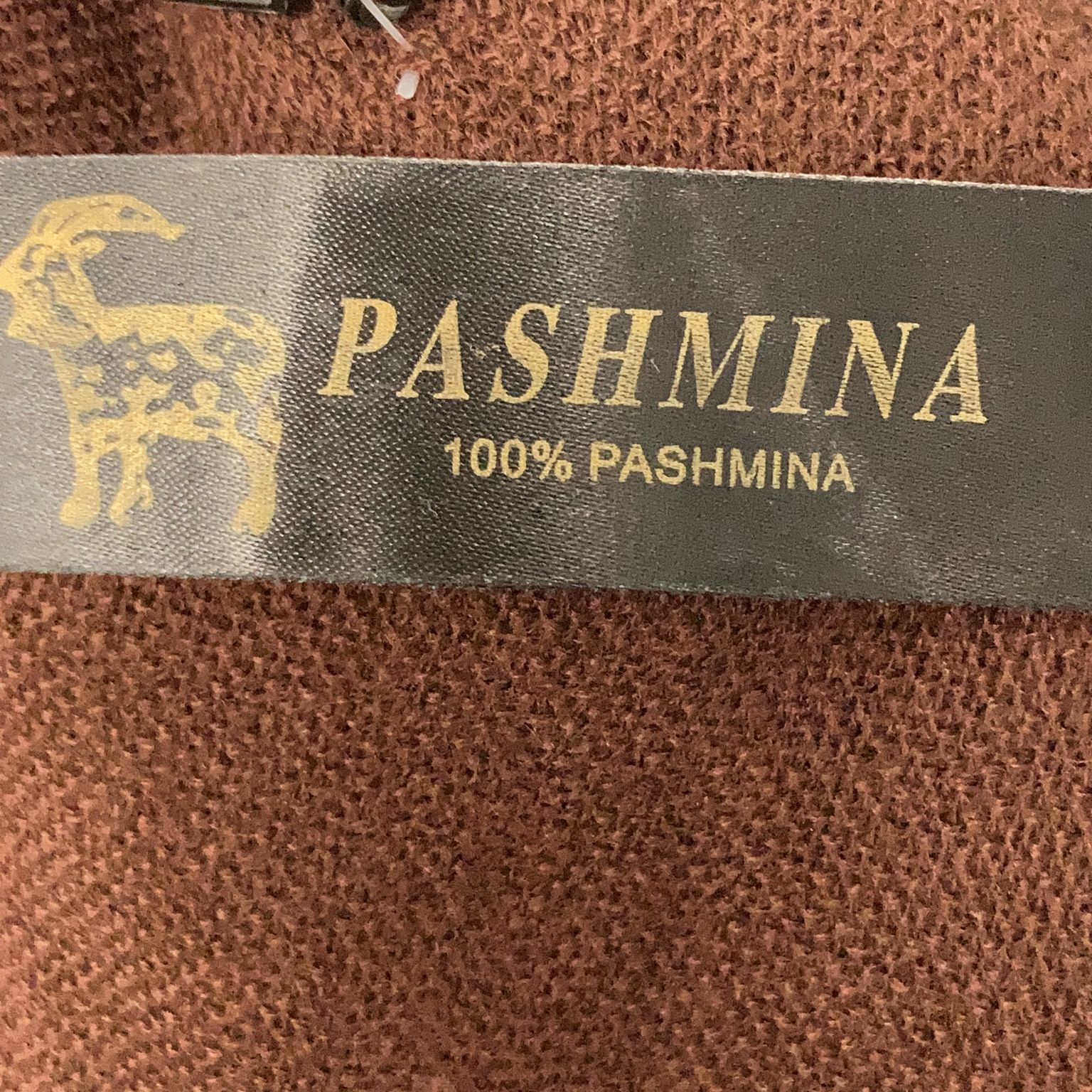 Pashmina