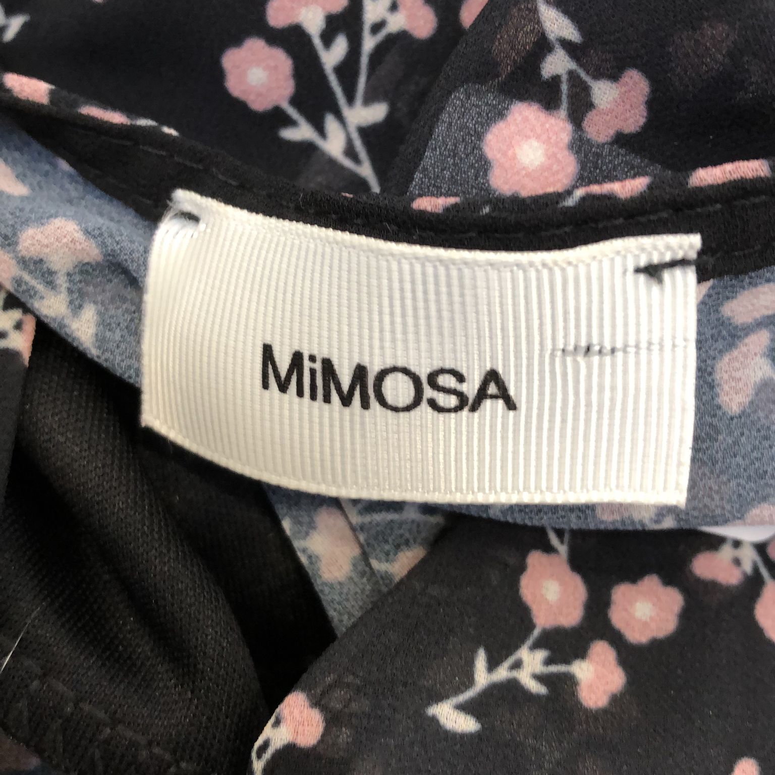 Mimosa