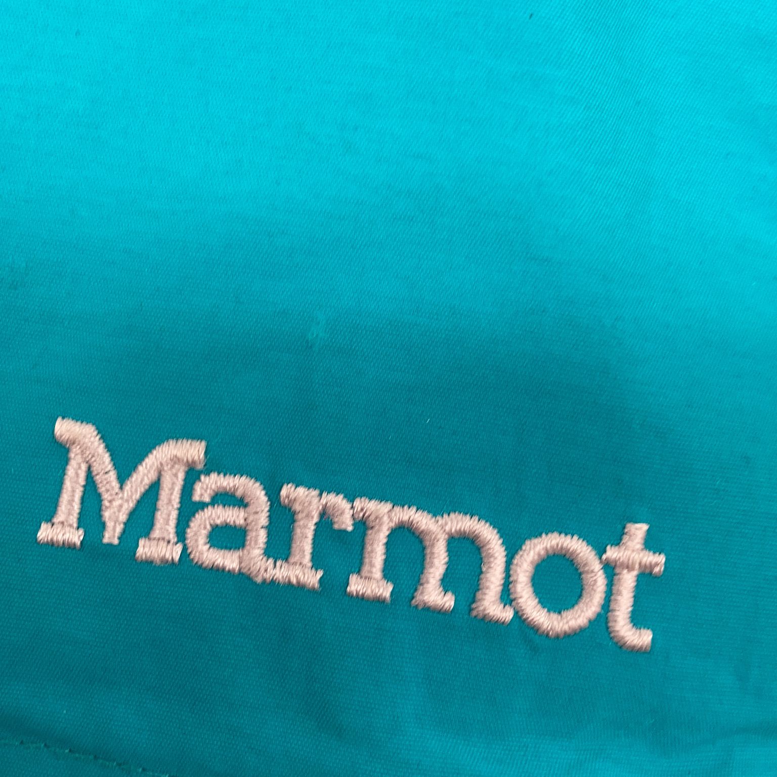 Marmot