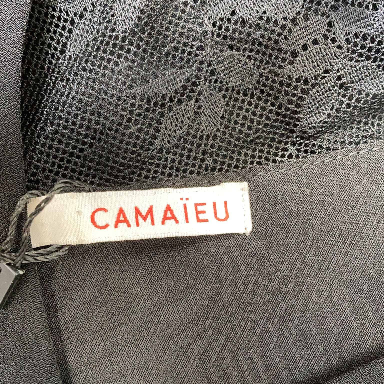 Camaїeu