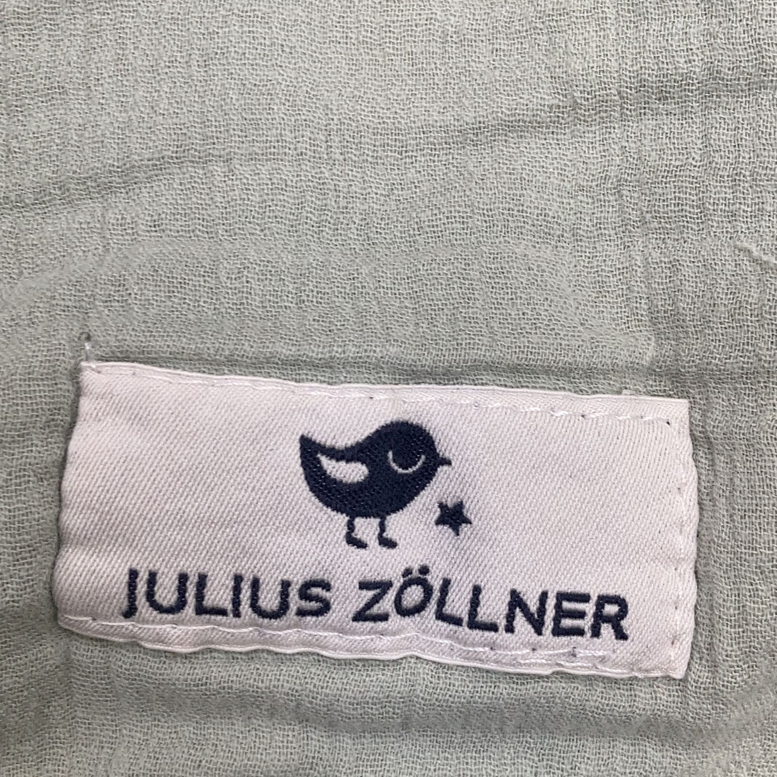 Julius Zöllner