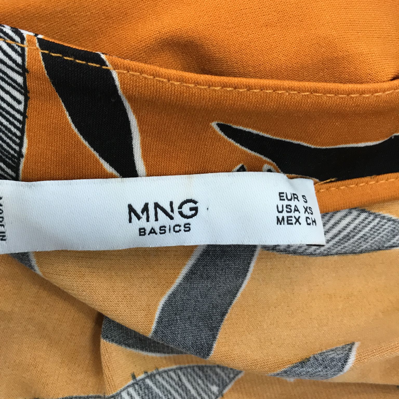 Mango Basics