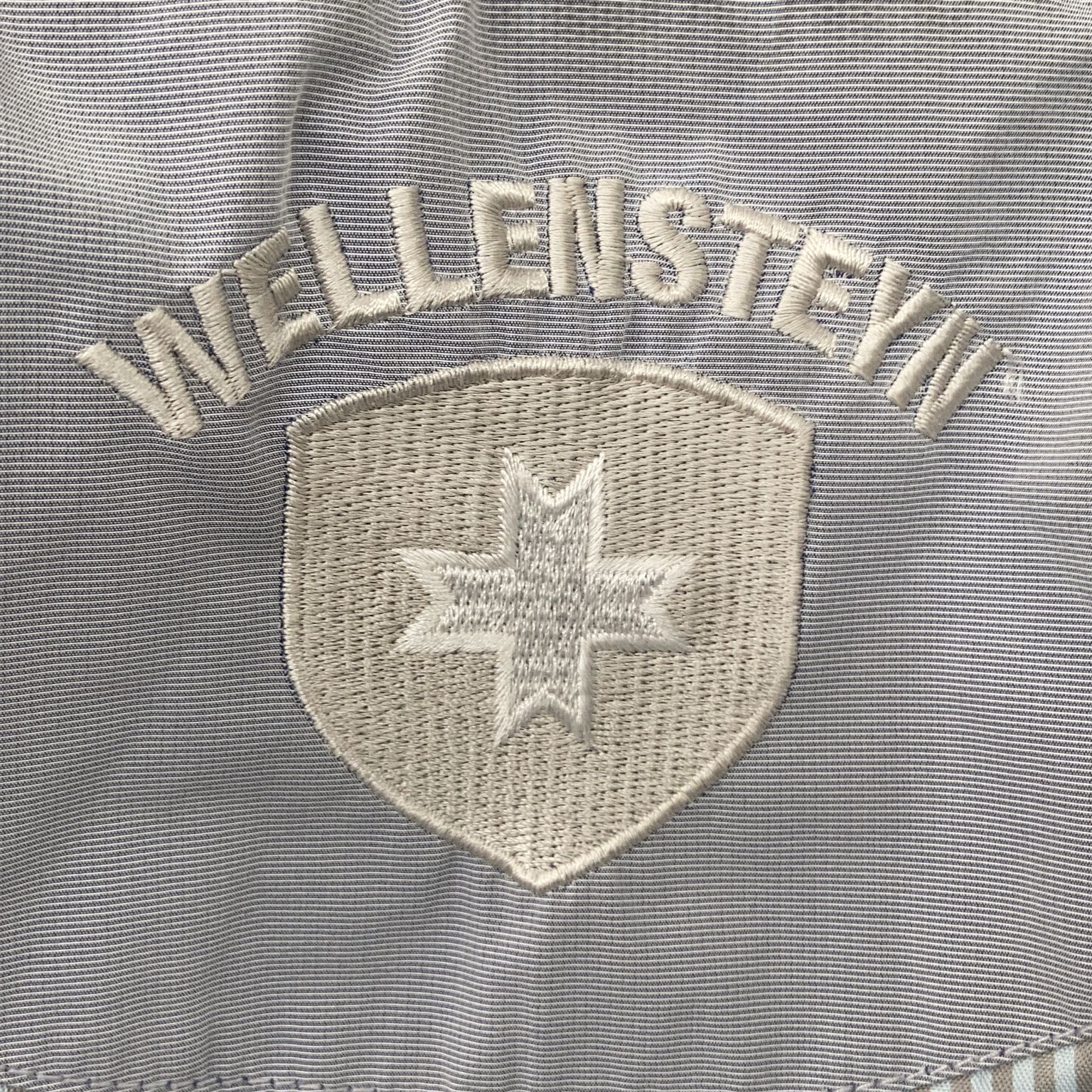 Wellensteyn