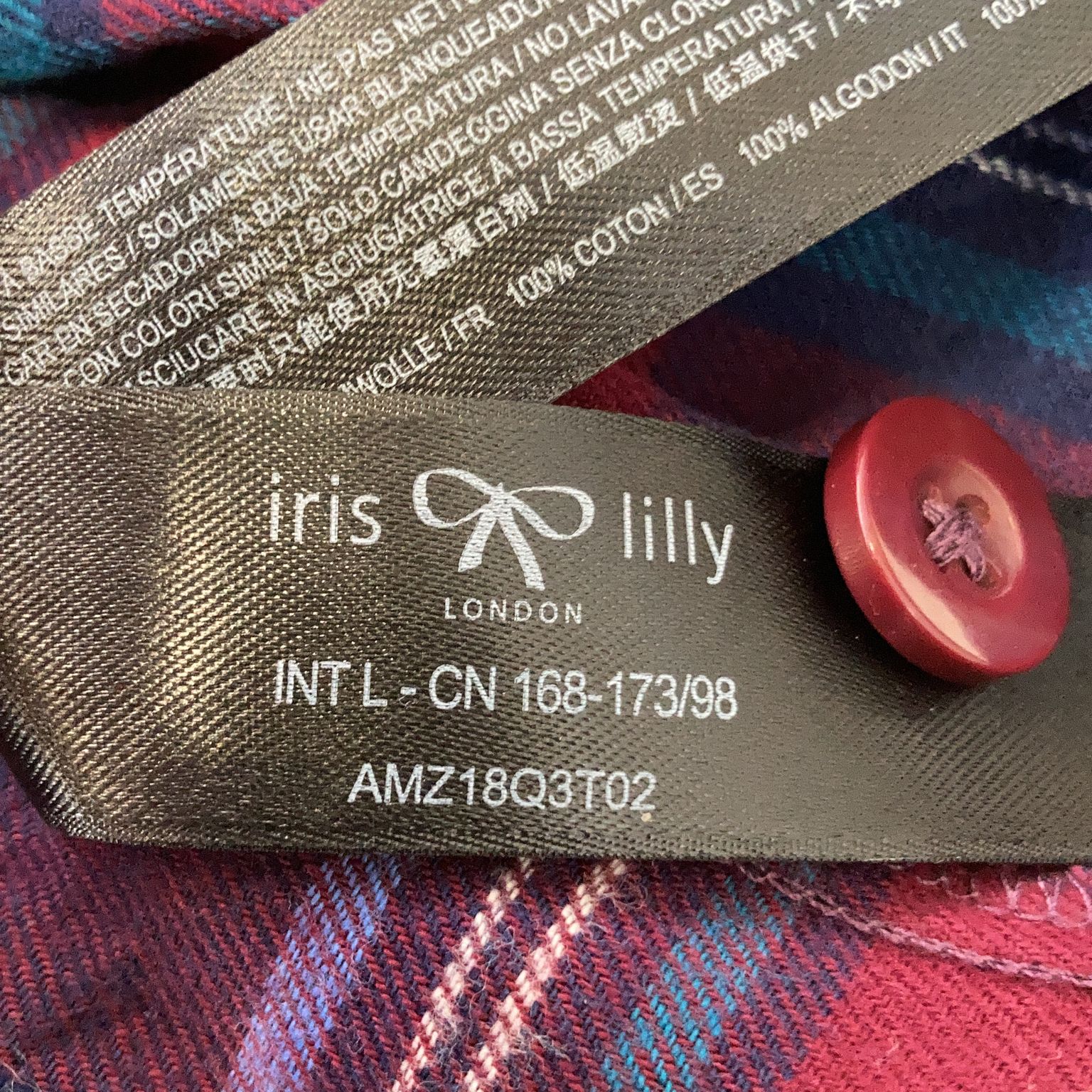 Iris  lilly