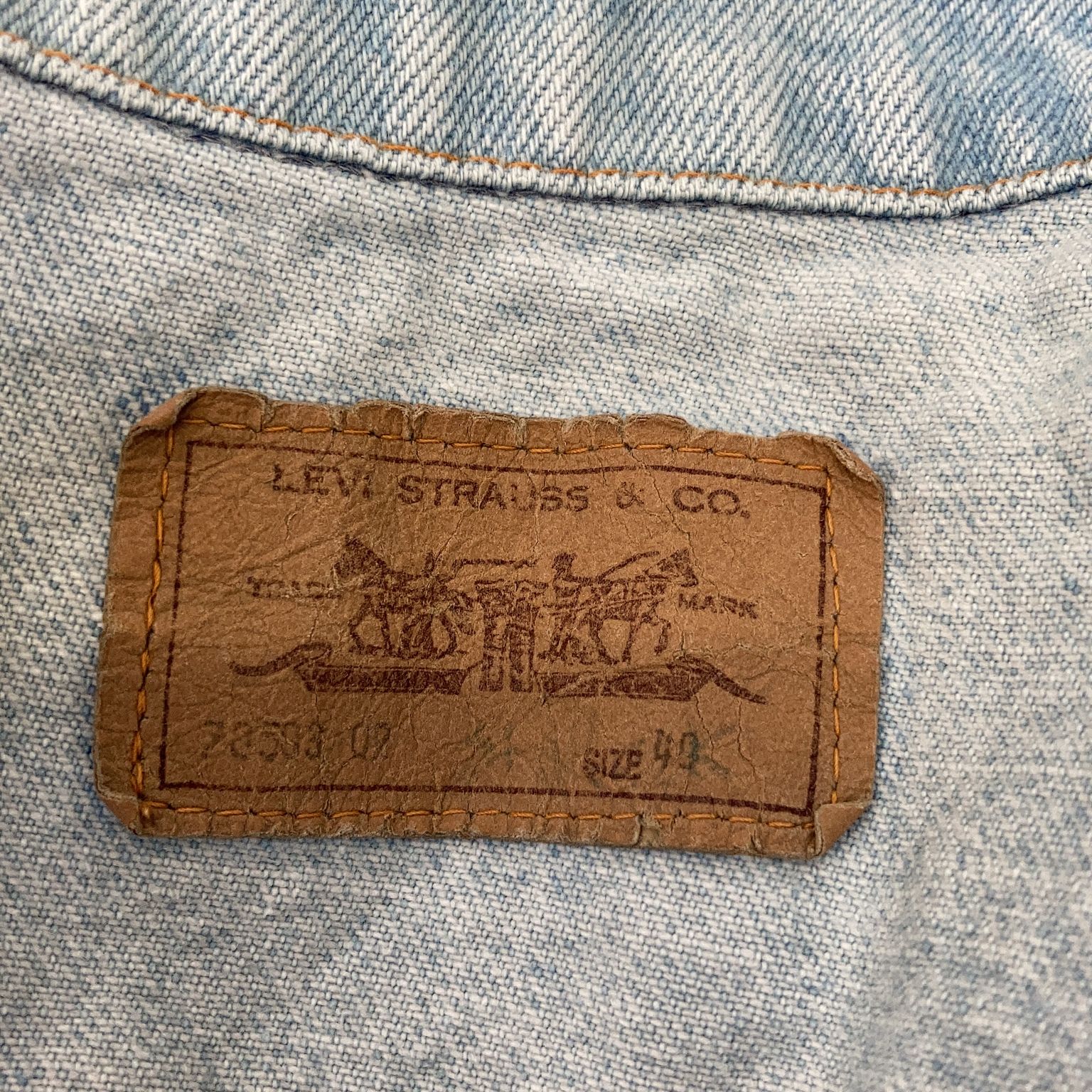 Levi Strauss  Co