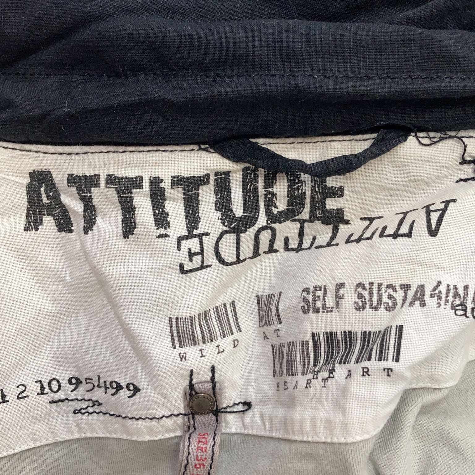 Attitude