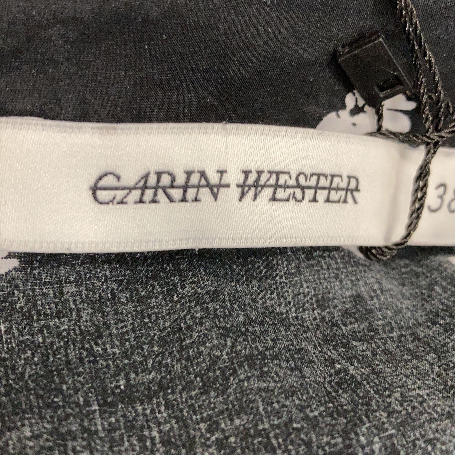 Carin Wester