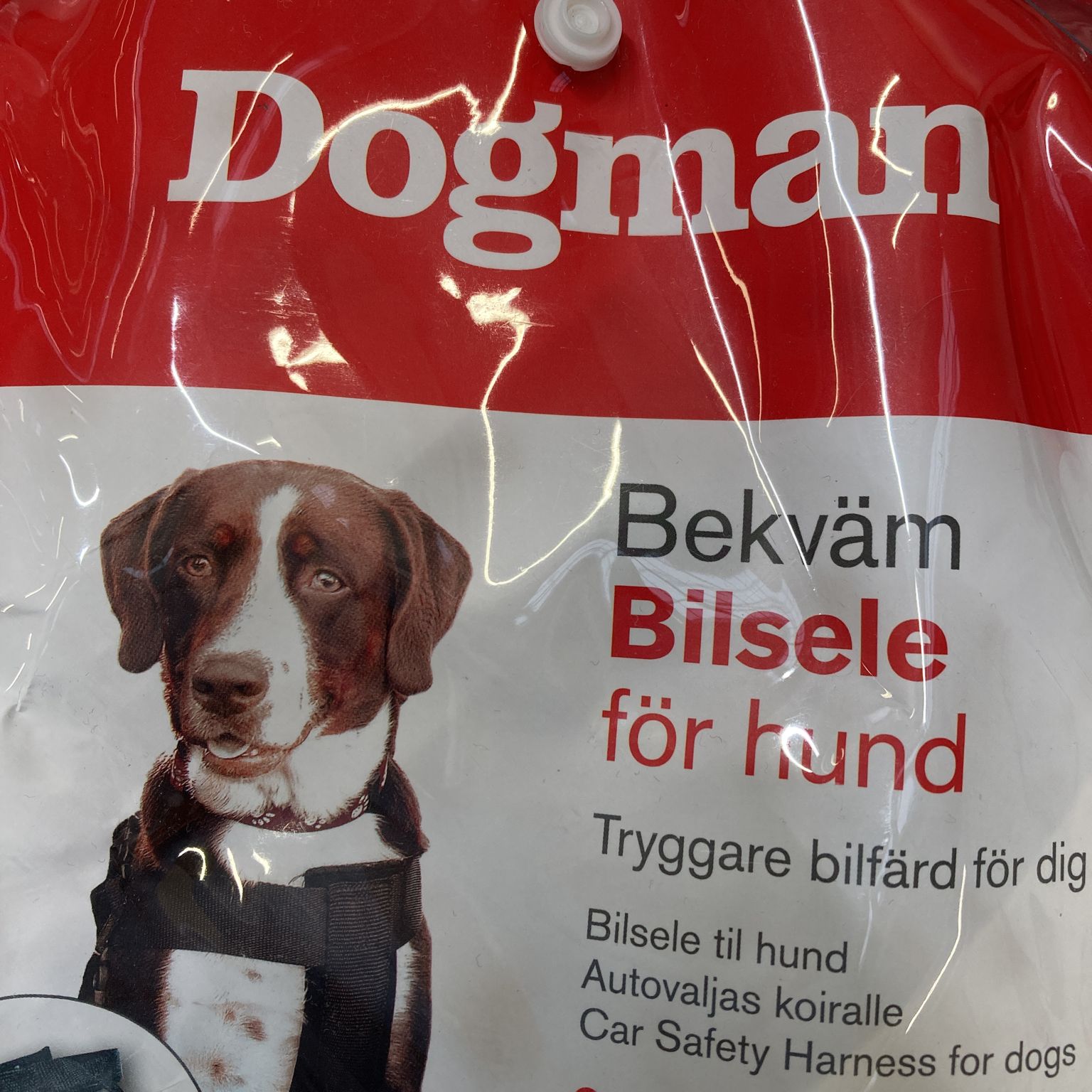 Dogman