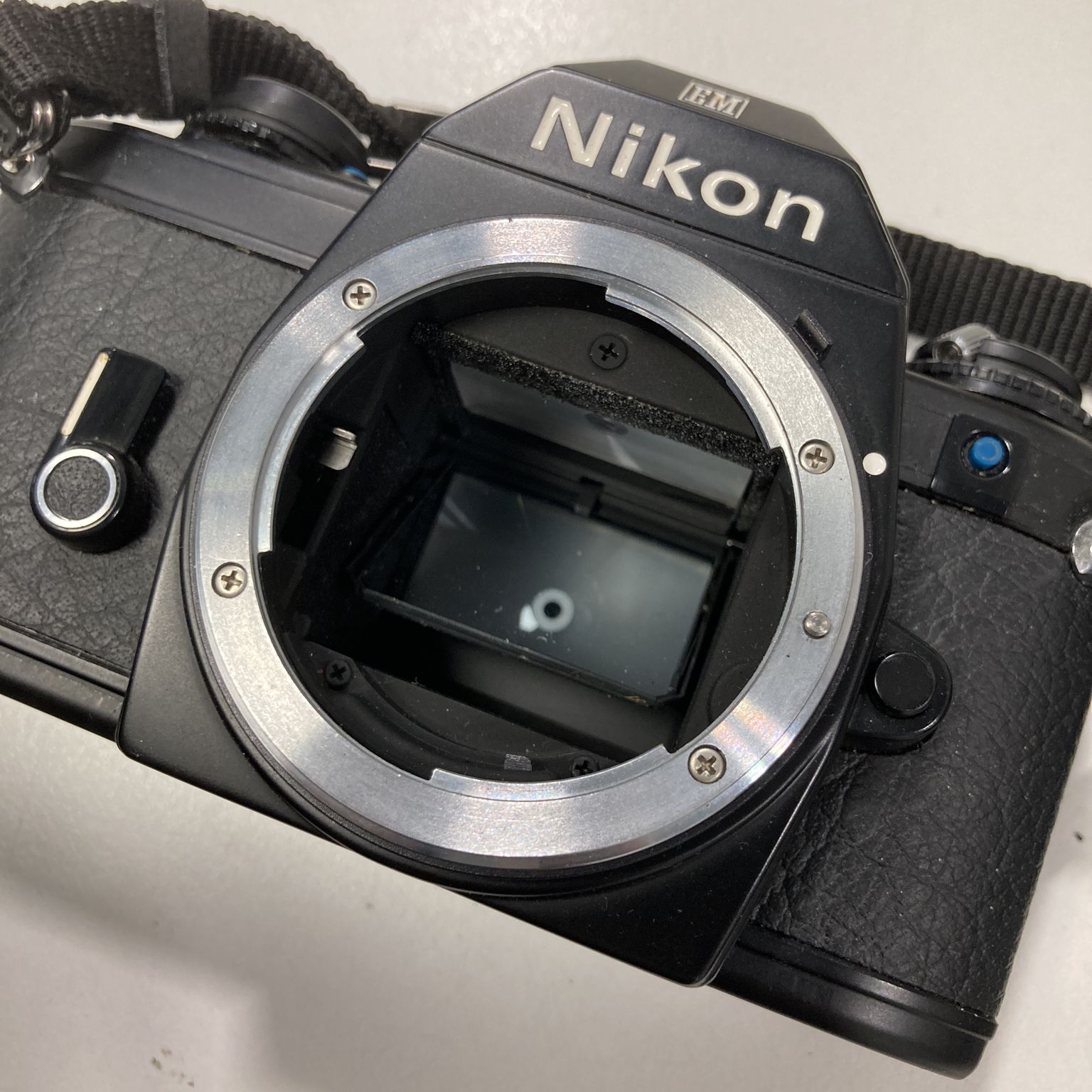 Nikon