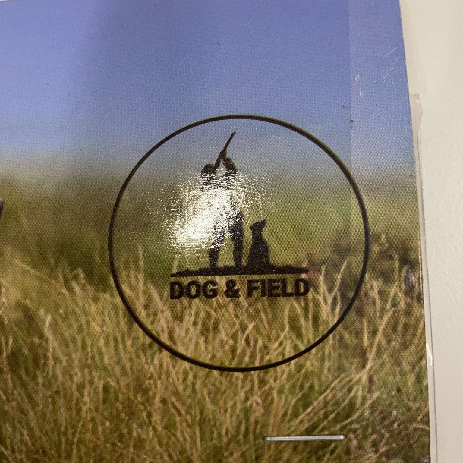 Dog  Field