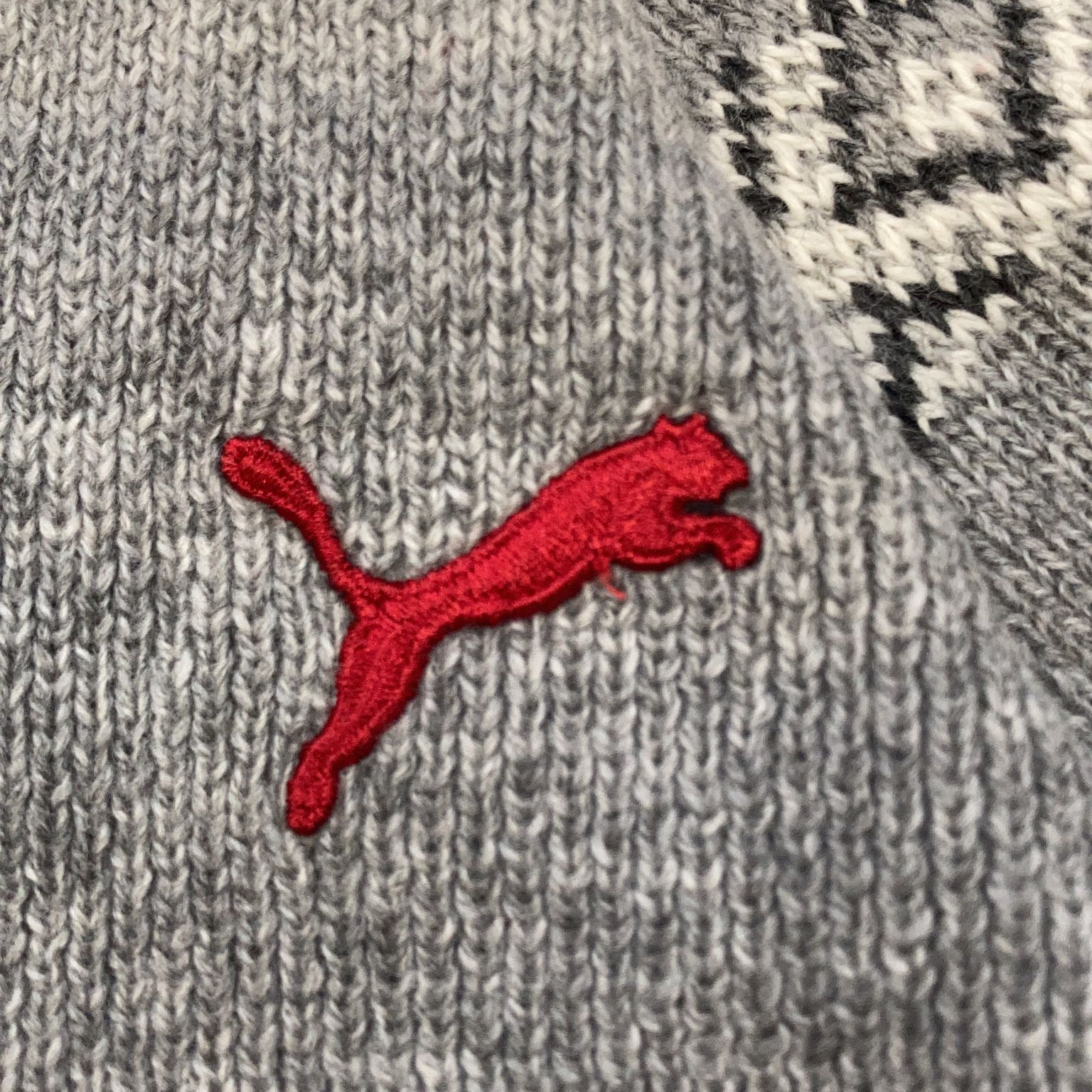 Puma