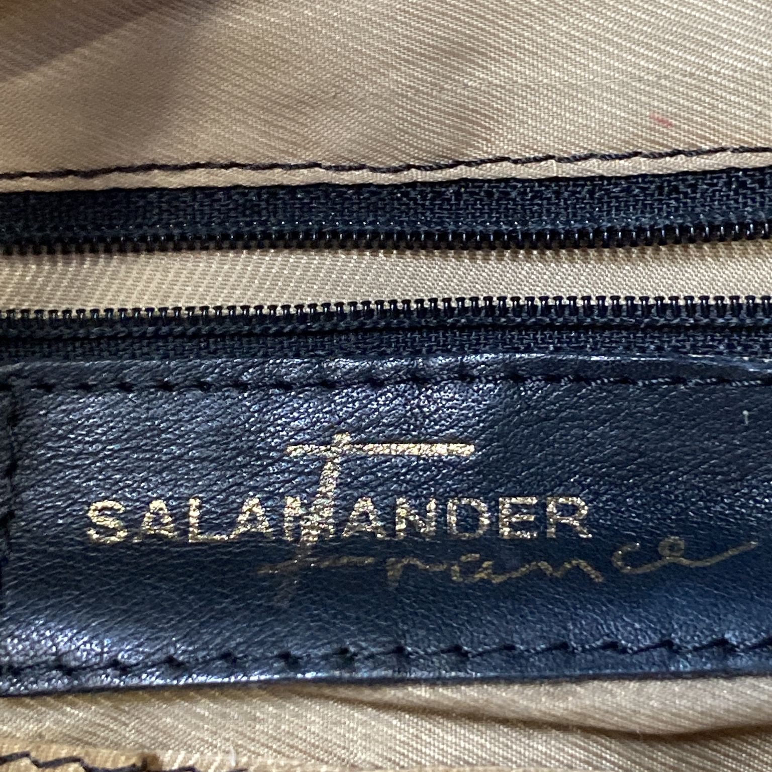 Salamander