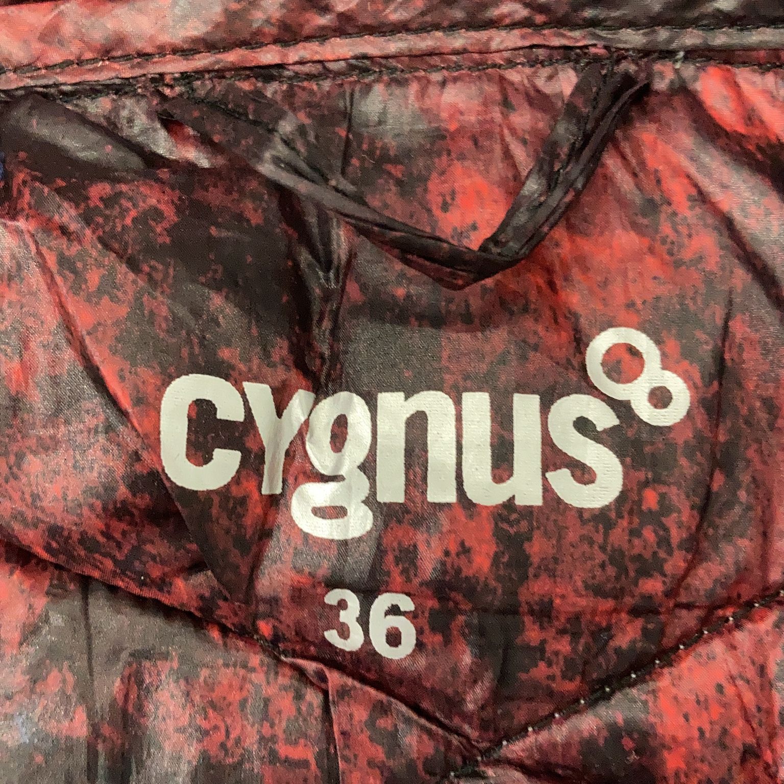 Cygnus