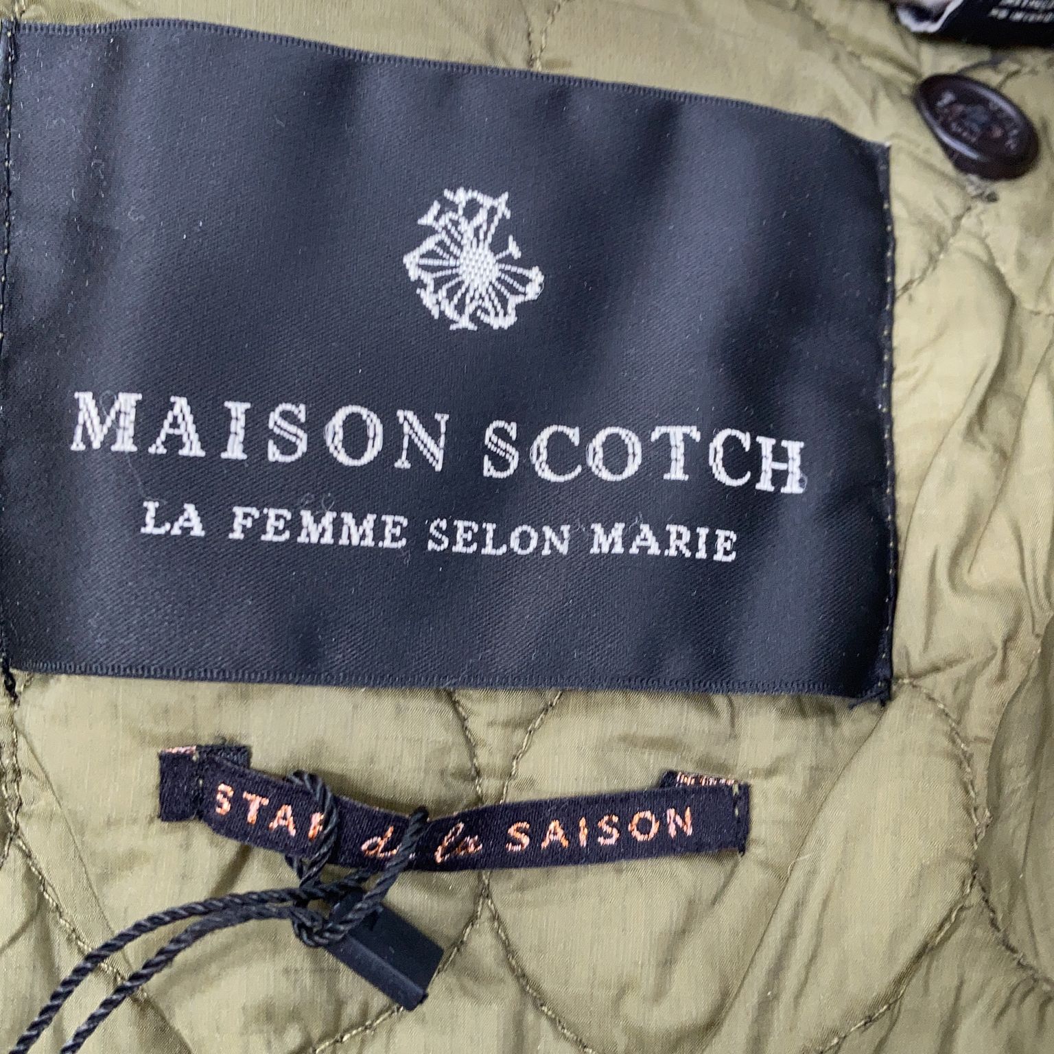 Maison Scotch