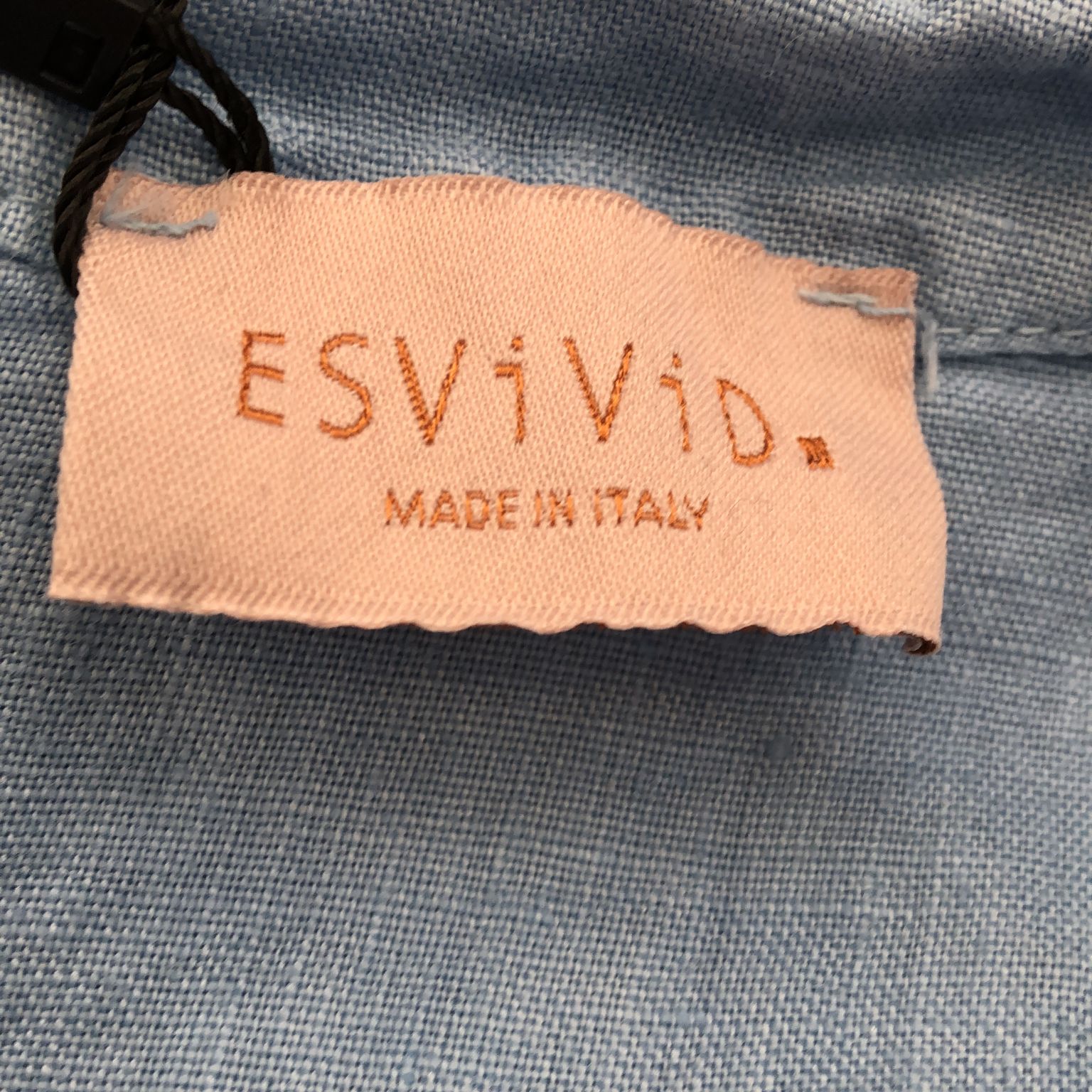 ESViViD