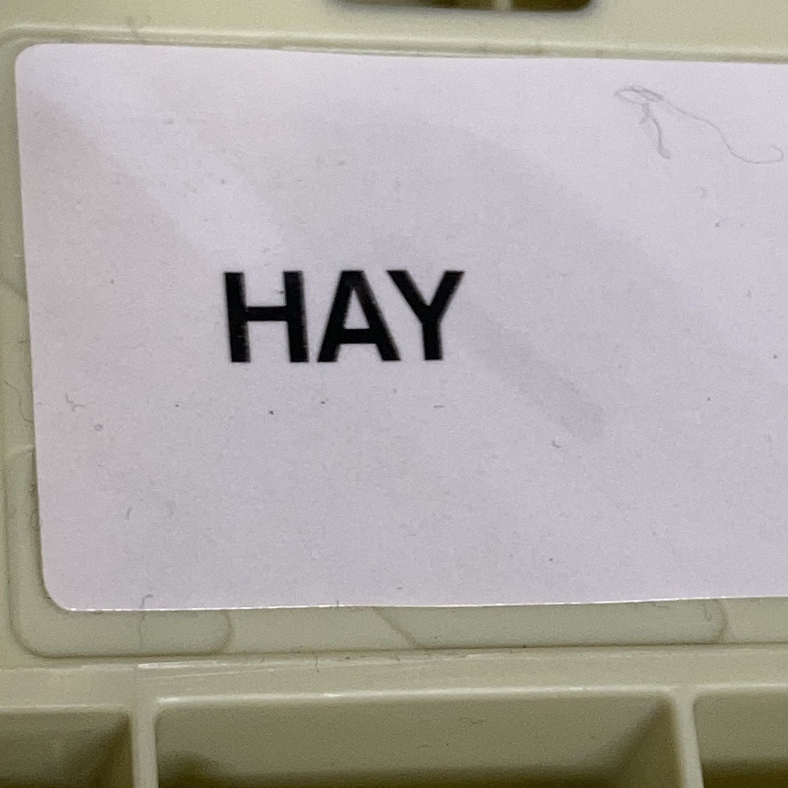 HAY