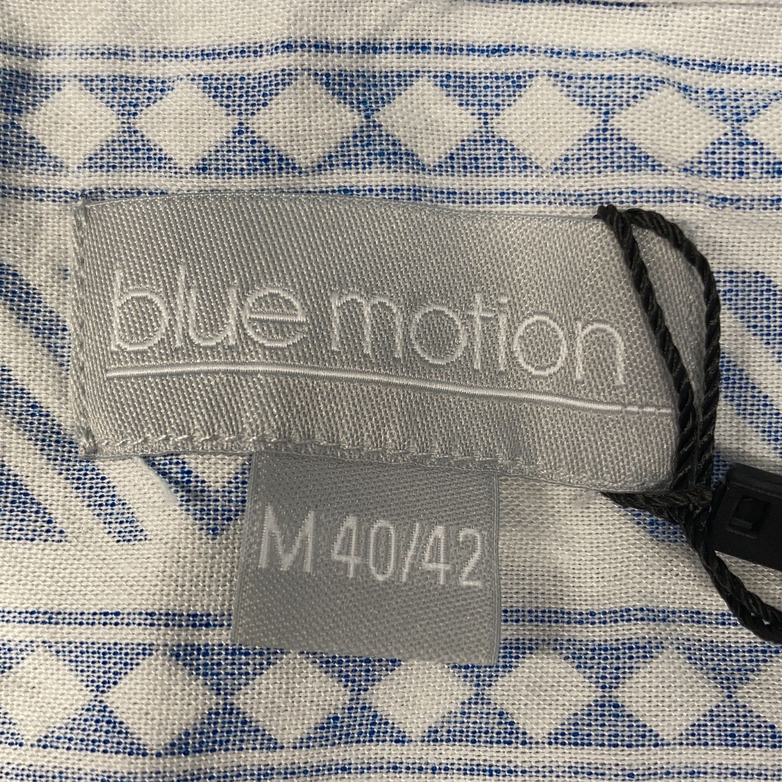 Blue Motion