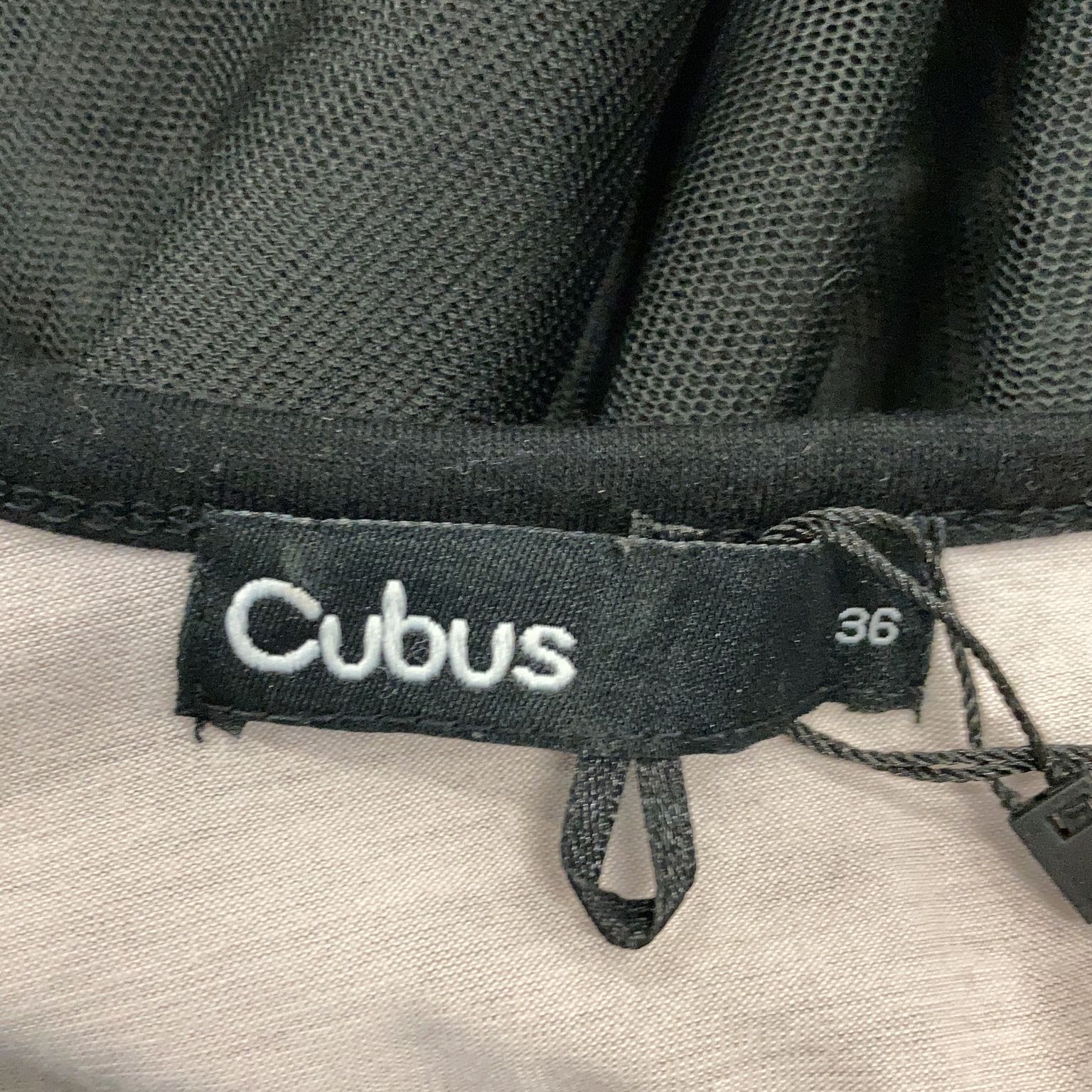 Cubus