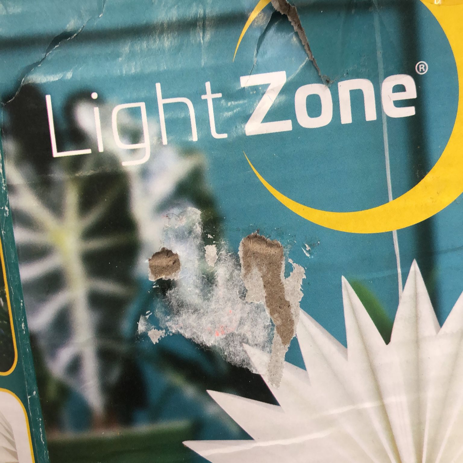 Light Zone