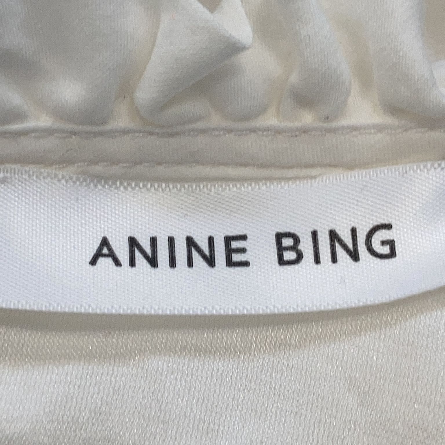 Anine Bing