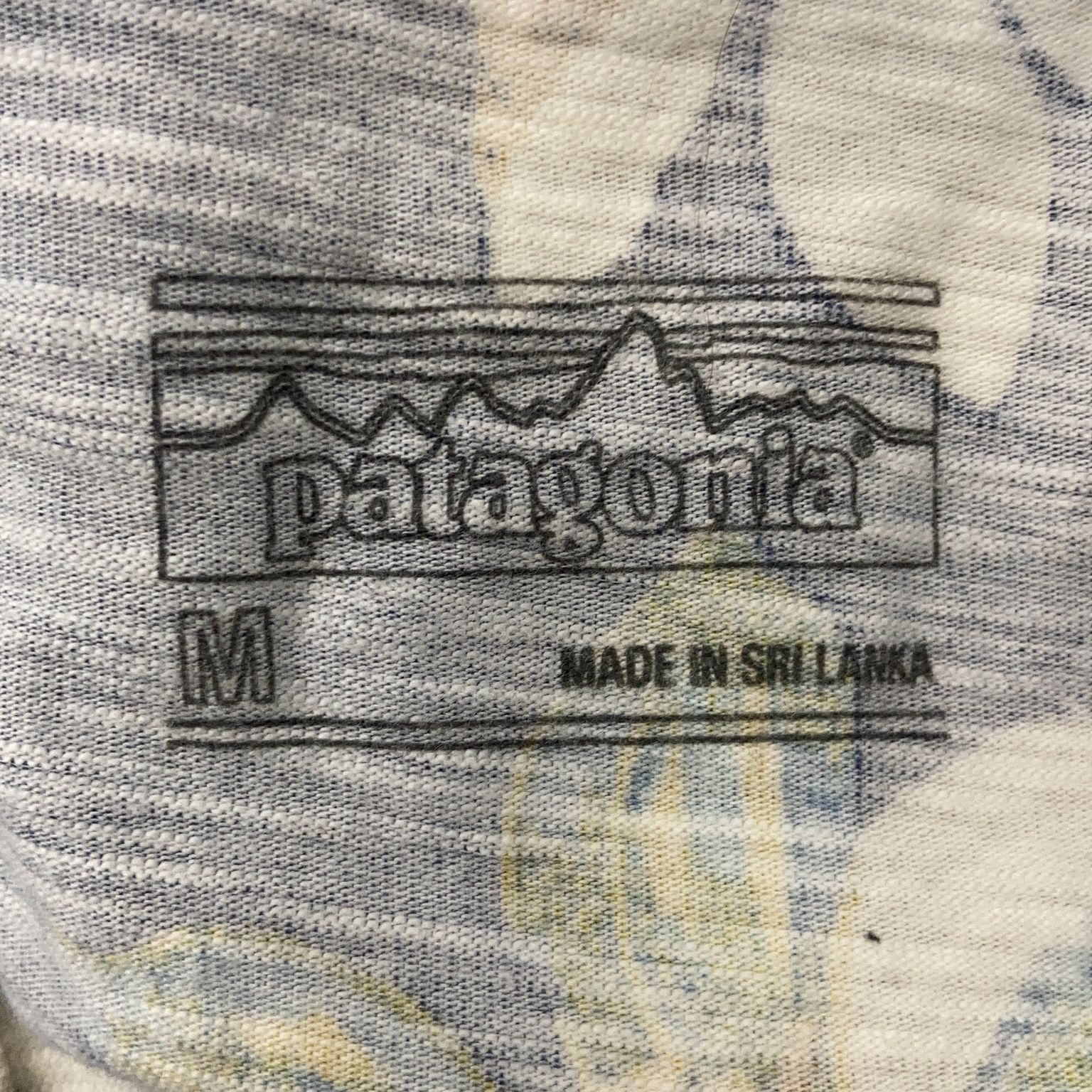 Patagonia