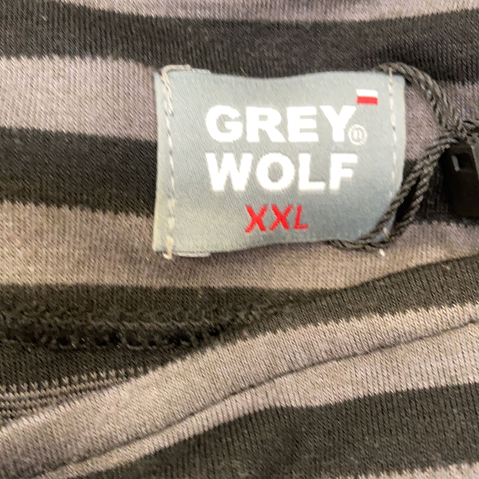 Grey Wolf