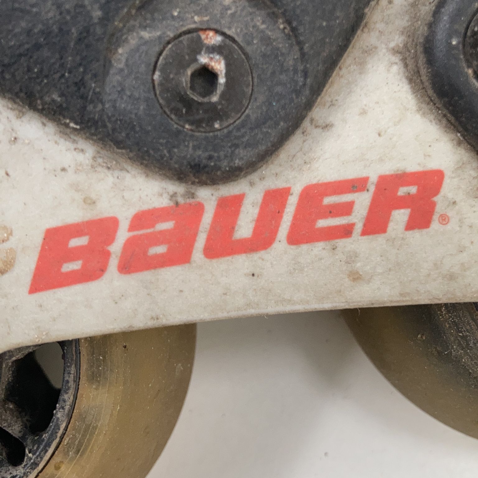 Bauer