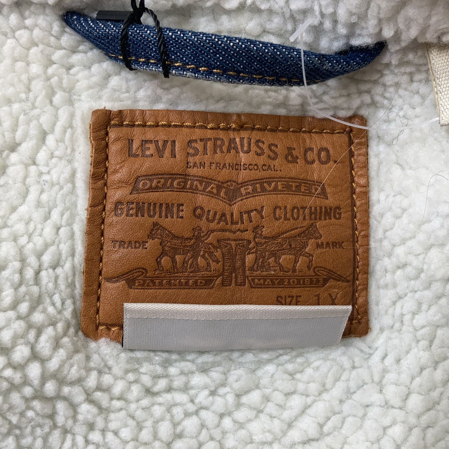 Levi Strauss  Co