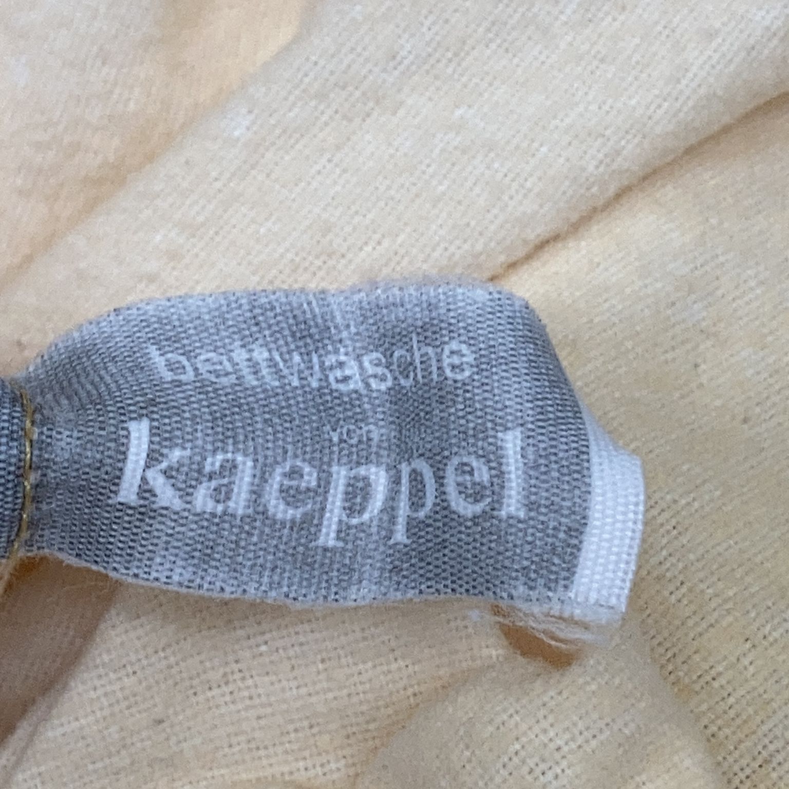 Kaeppel