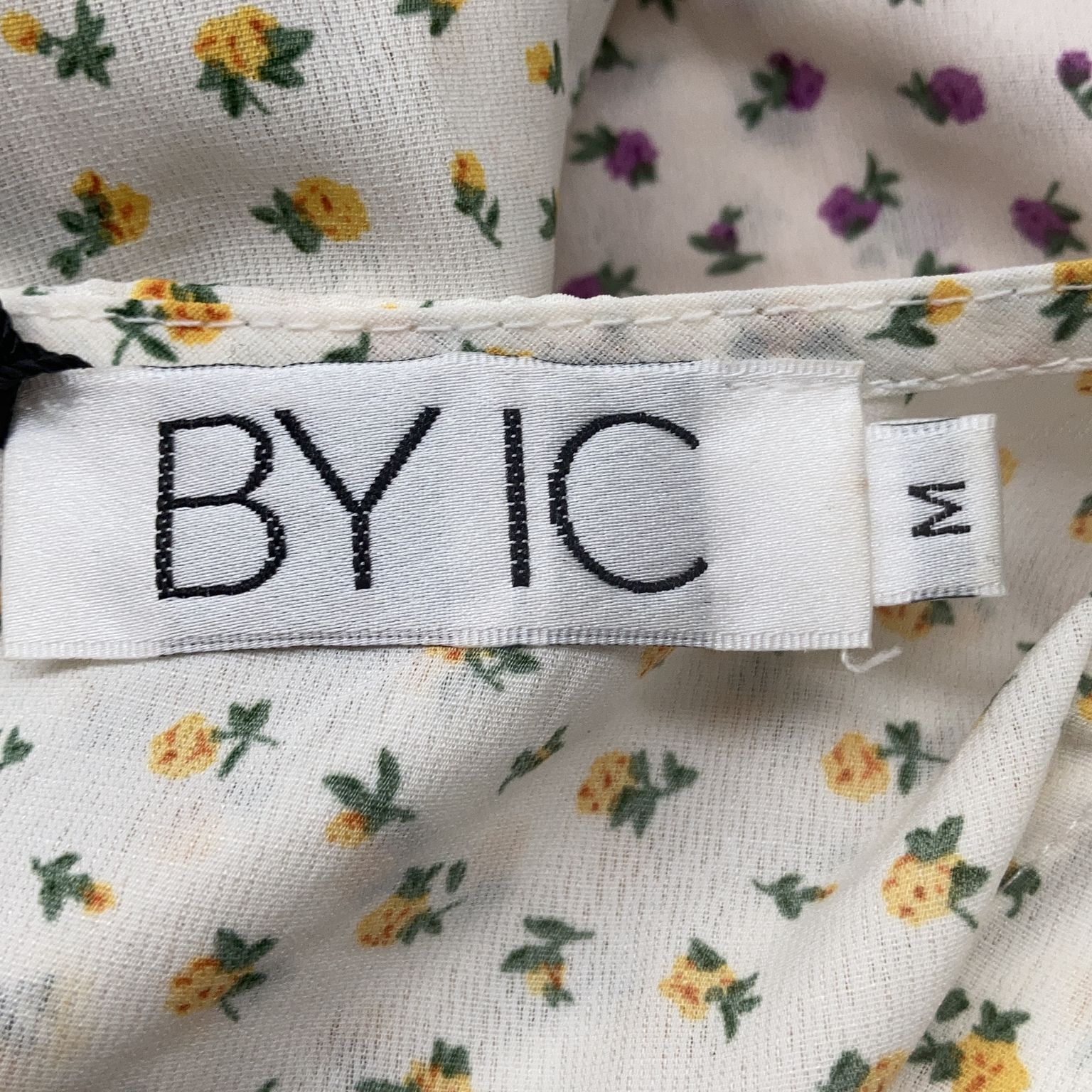 BYIC