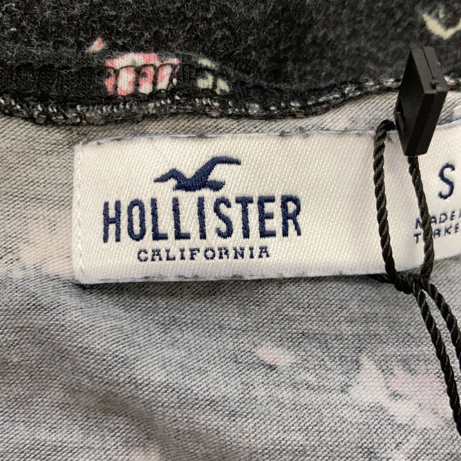 Hollister