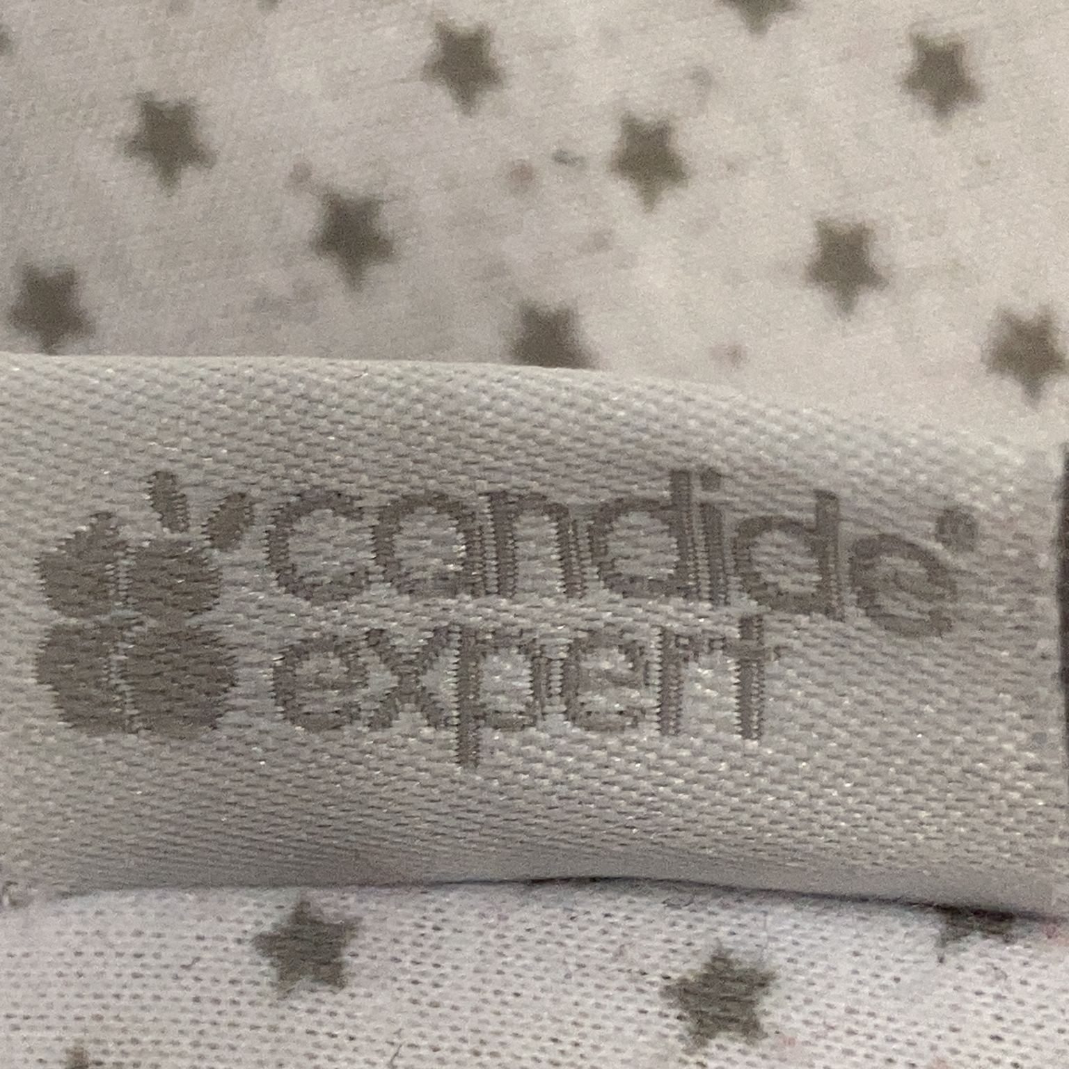 Candide Expert