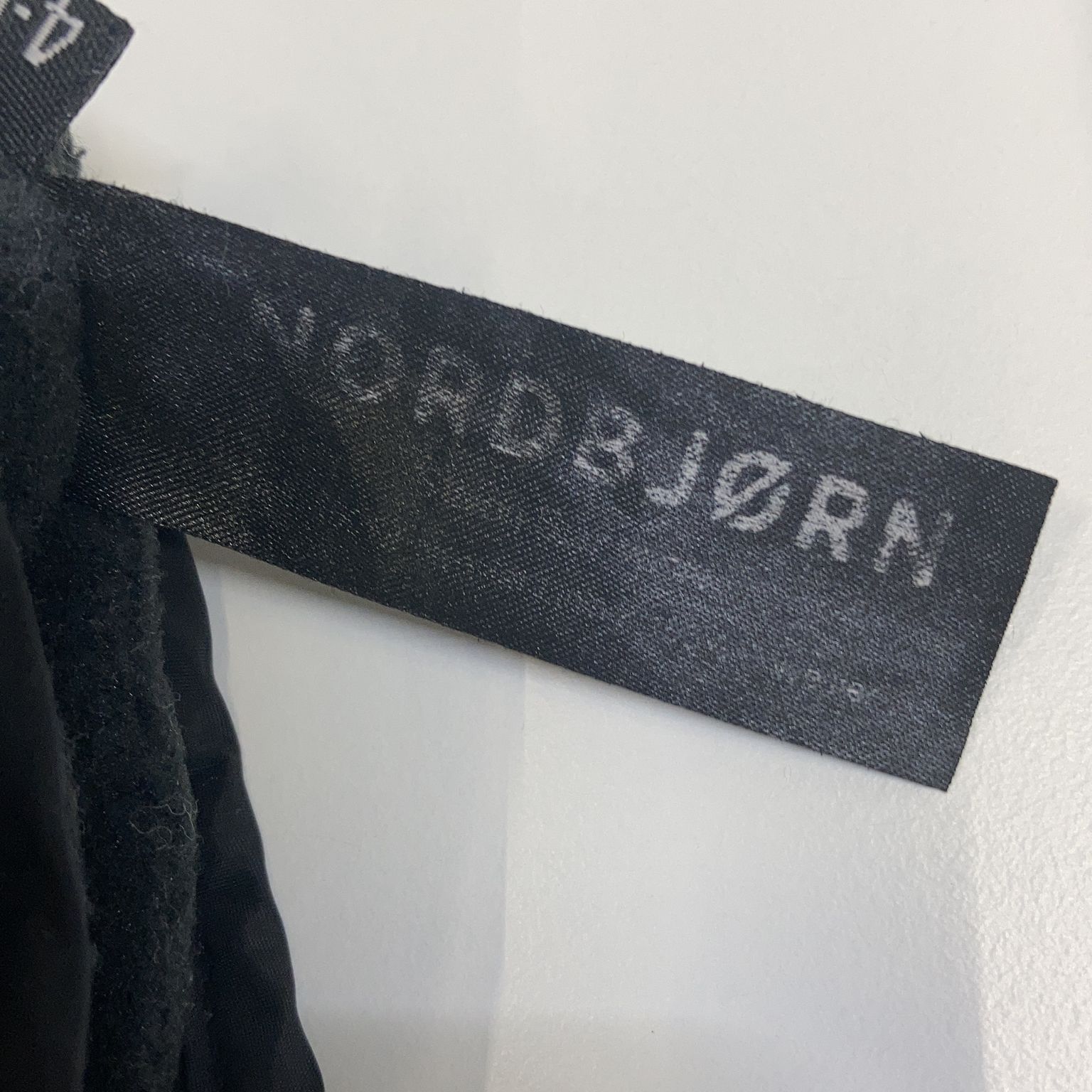 Nordbjorn