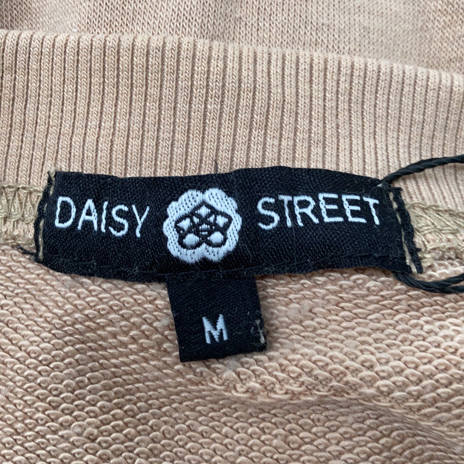 Daisy Street