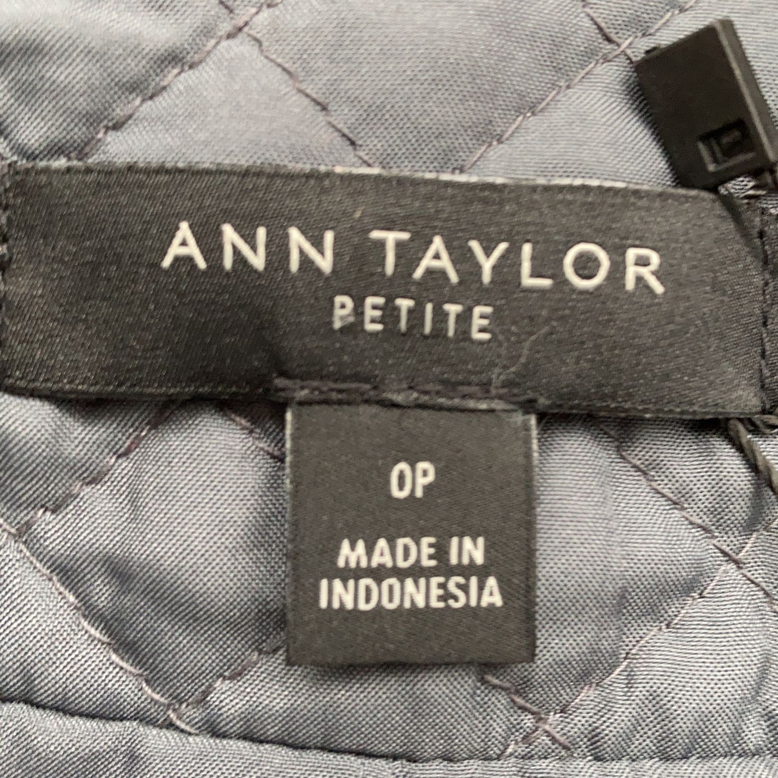 Ann Taylor