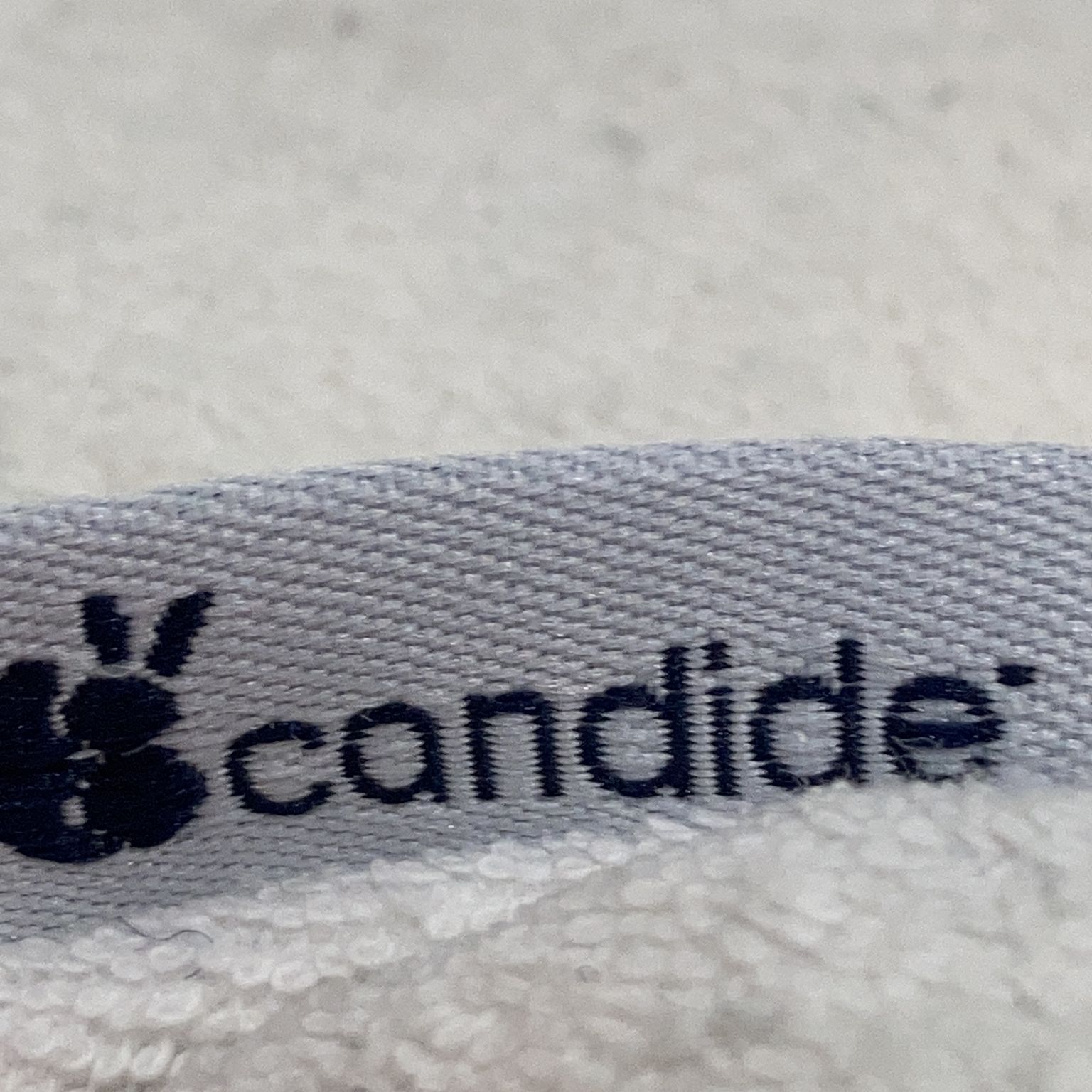 Candide