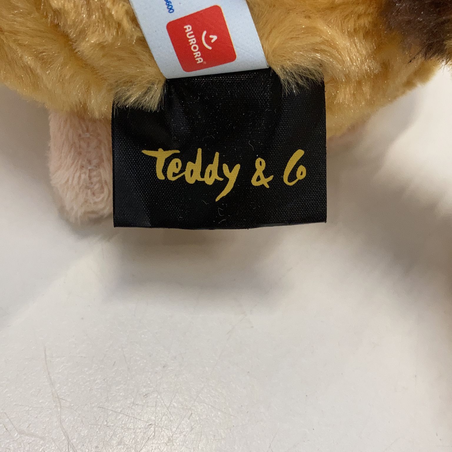 Teddy  Co